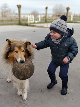 - image: 28
