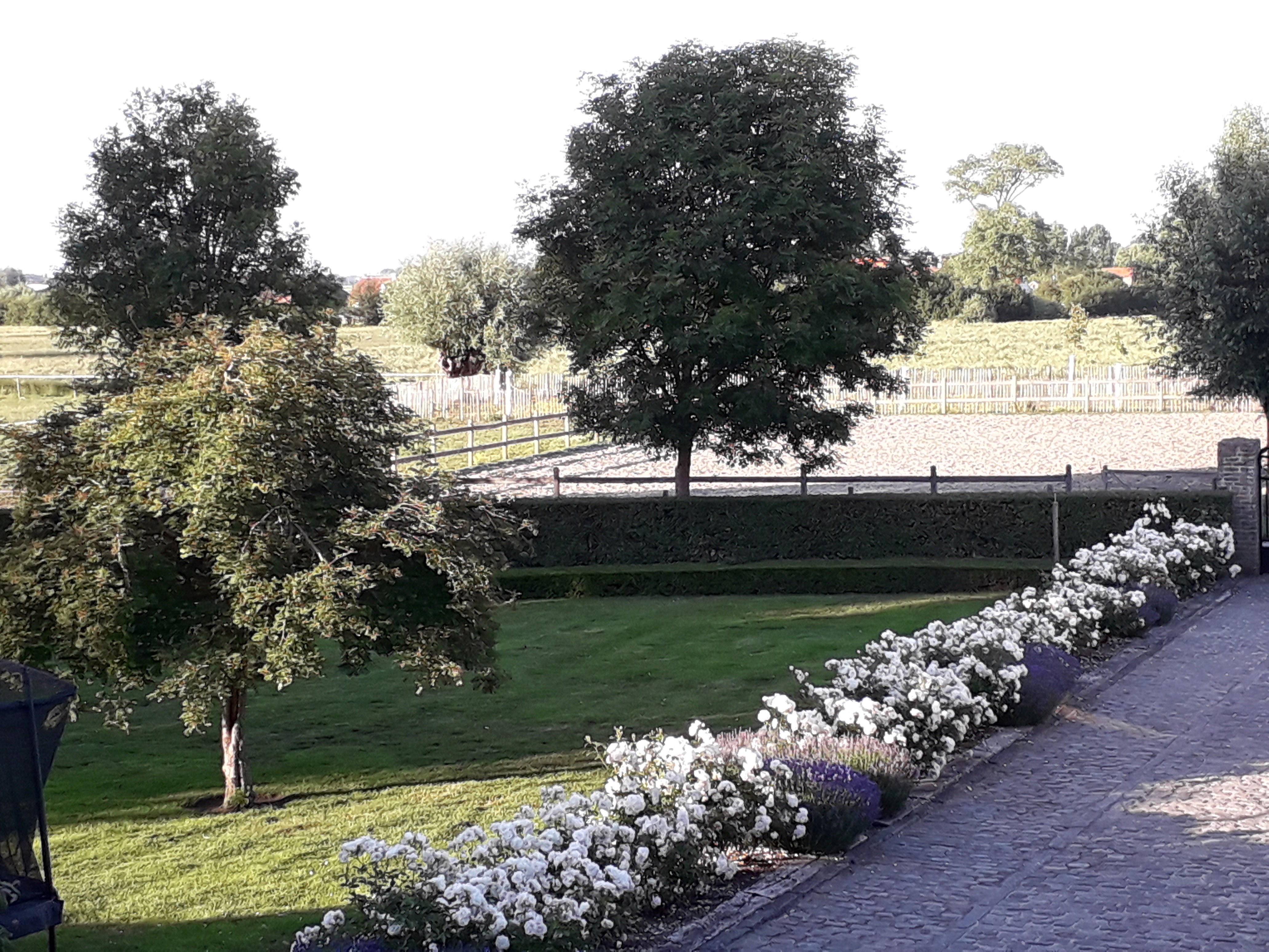 Maison nature à Veurne