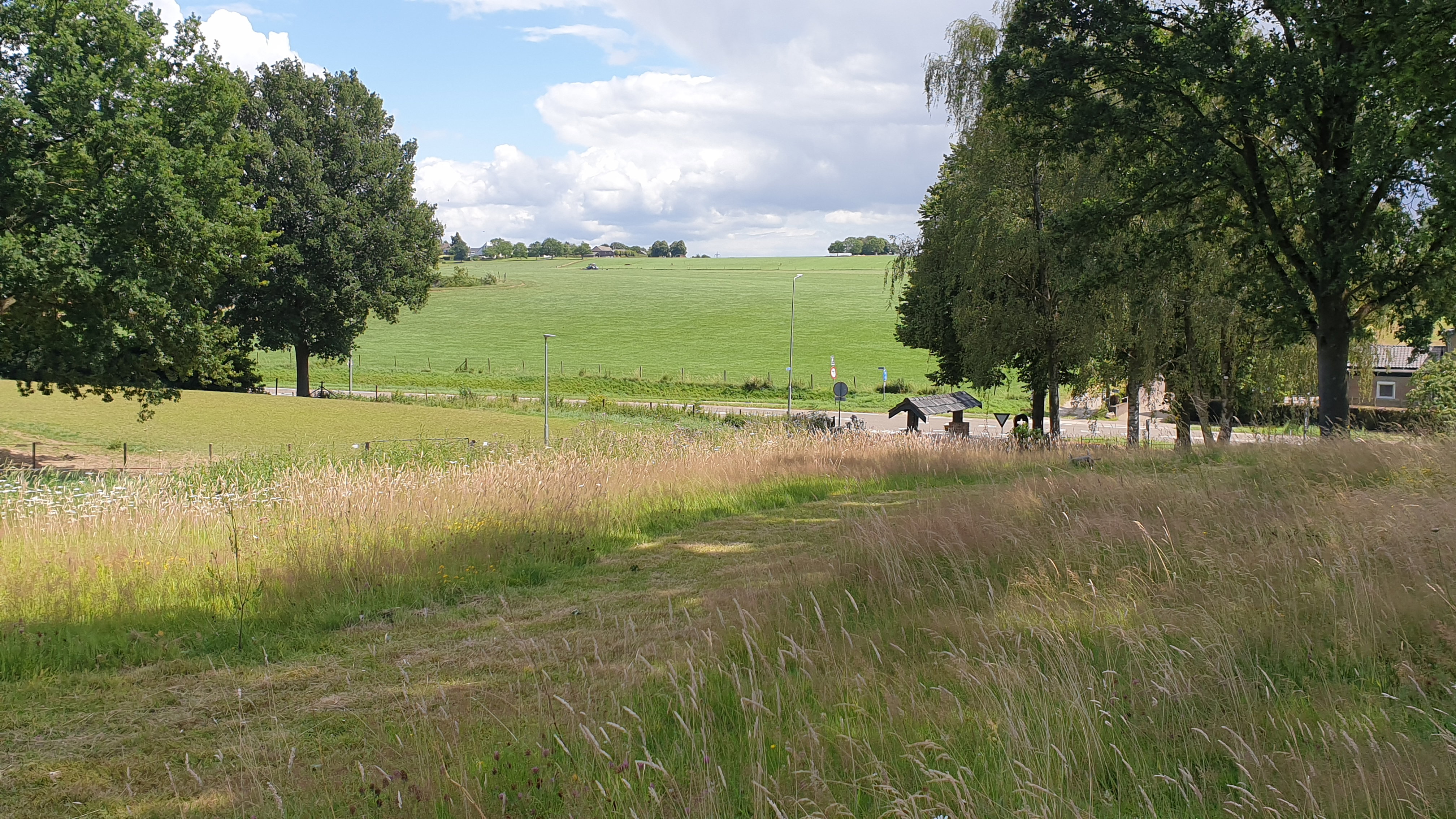 - image: 20