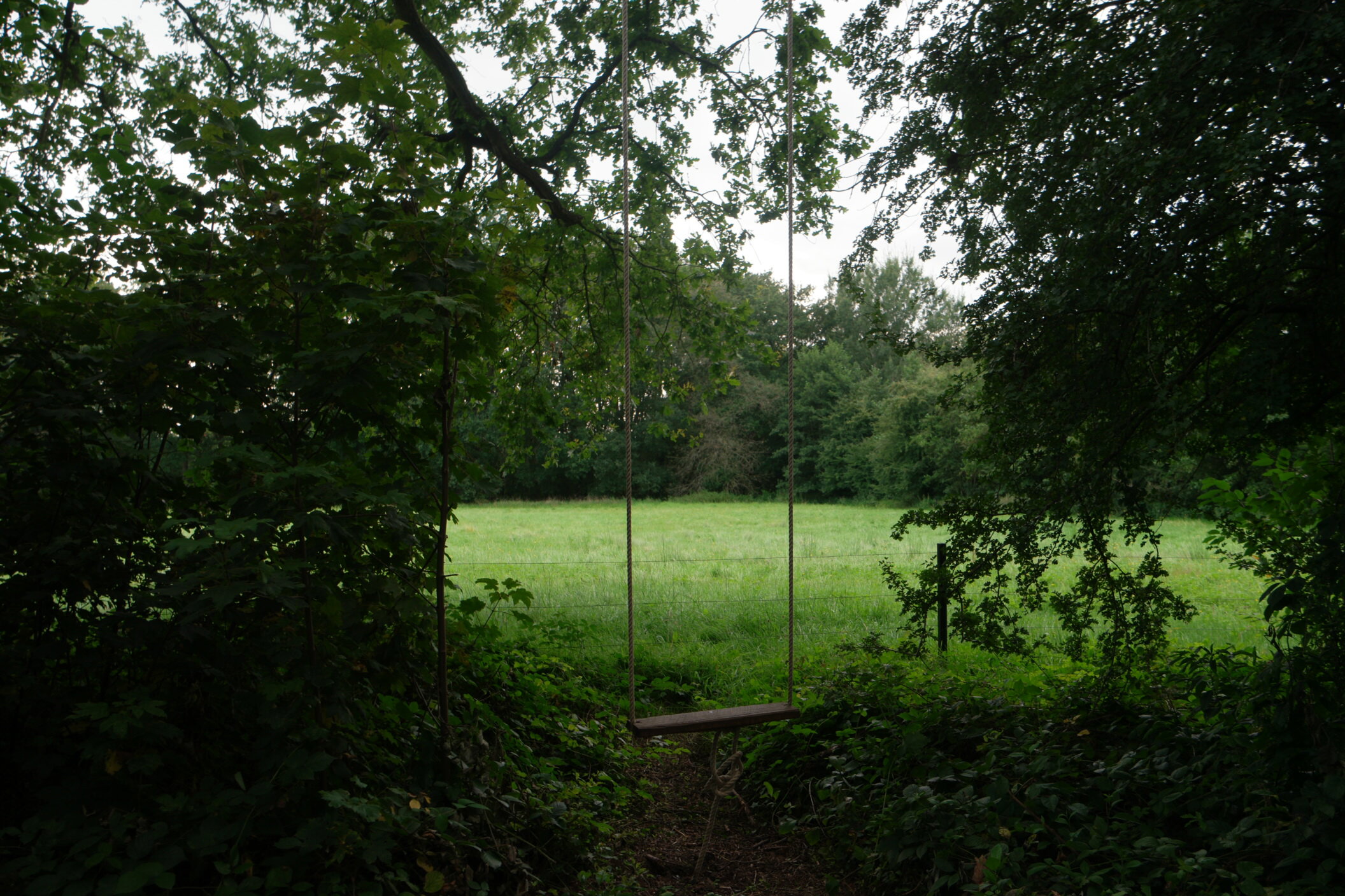 - image: 13