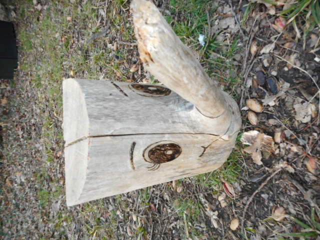 - image: 11