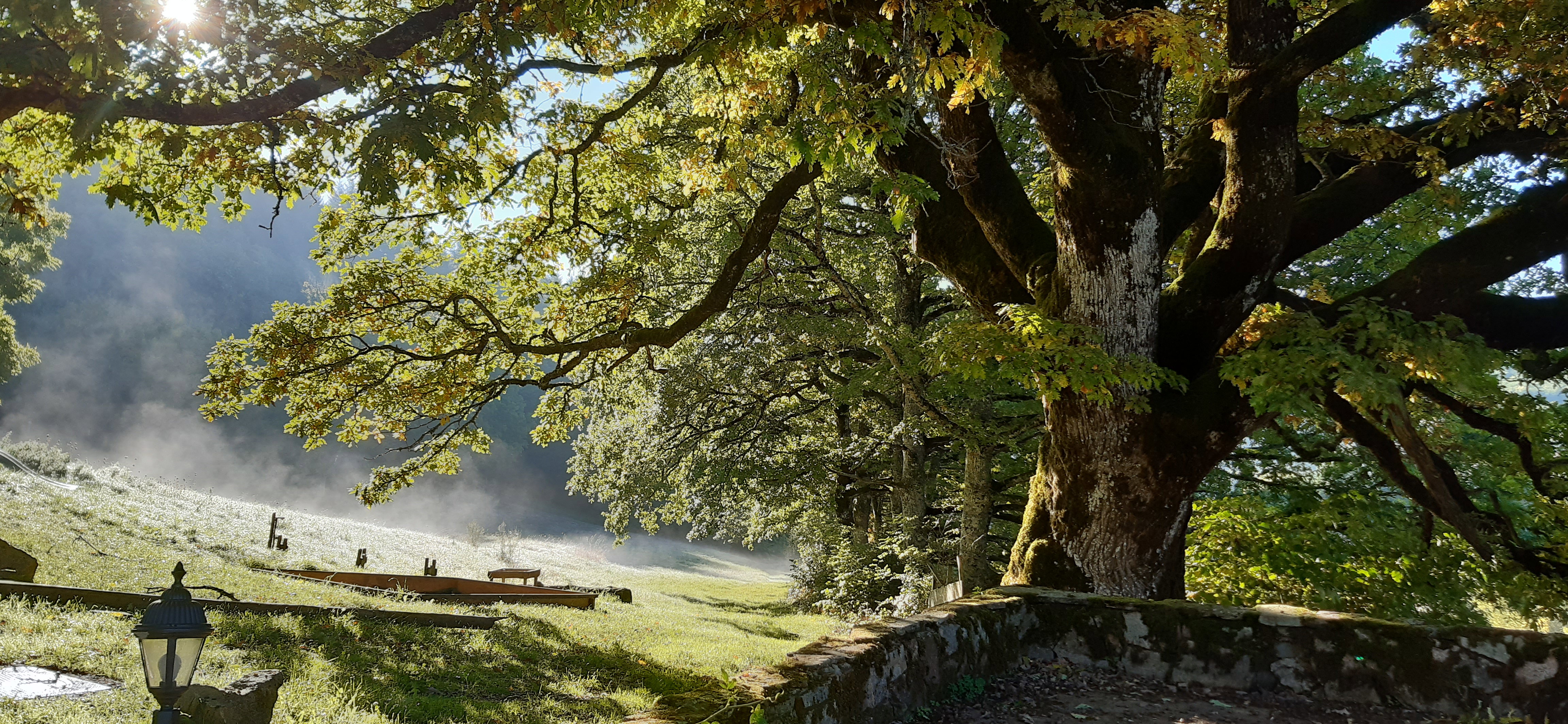 Naturhäuschen in Nages