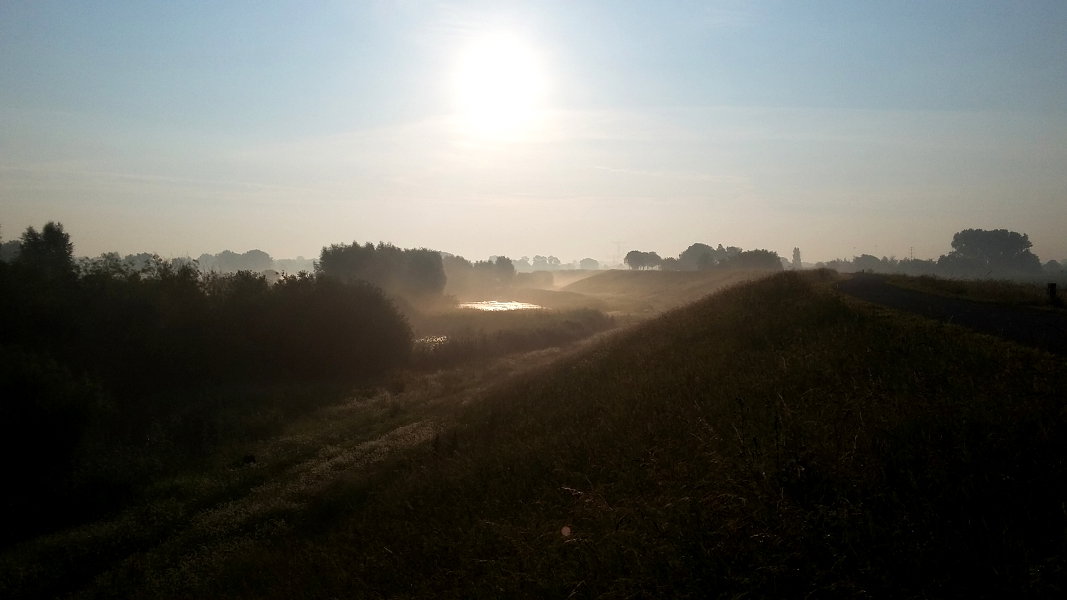 - image: 13