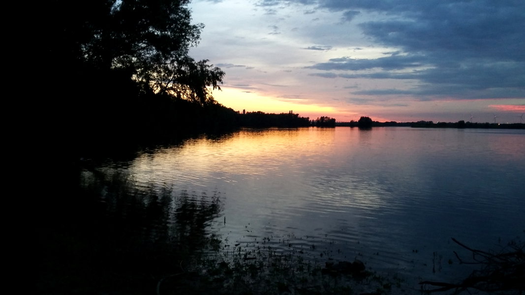 - image: 14