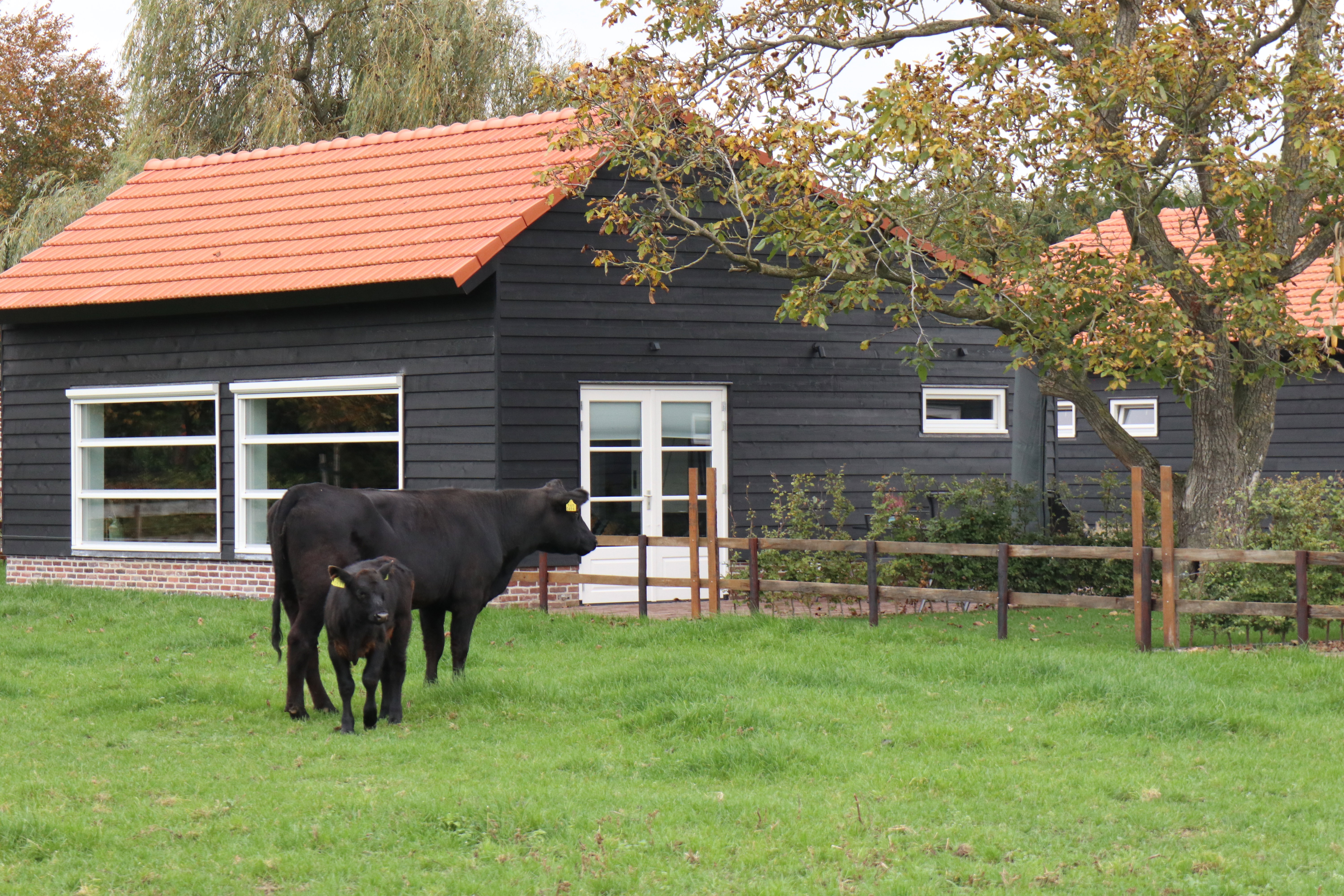 Natuurhuisje in Baexem