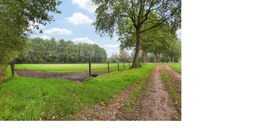 Maison nature à Eursinge (Midden Drenthe)