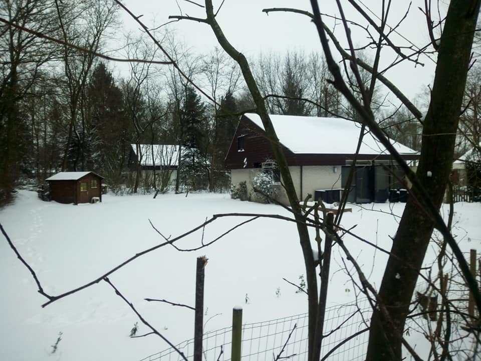 - image: 27