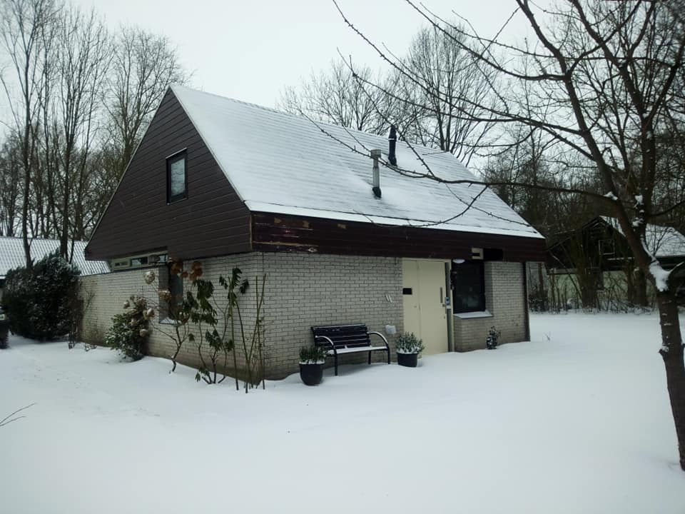 - image: 29