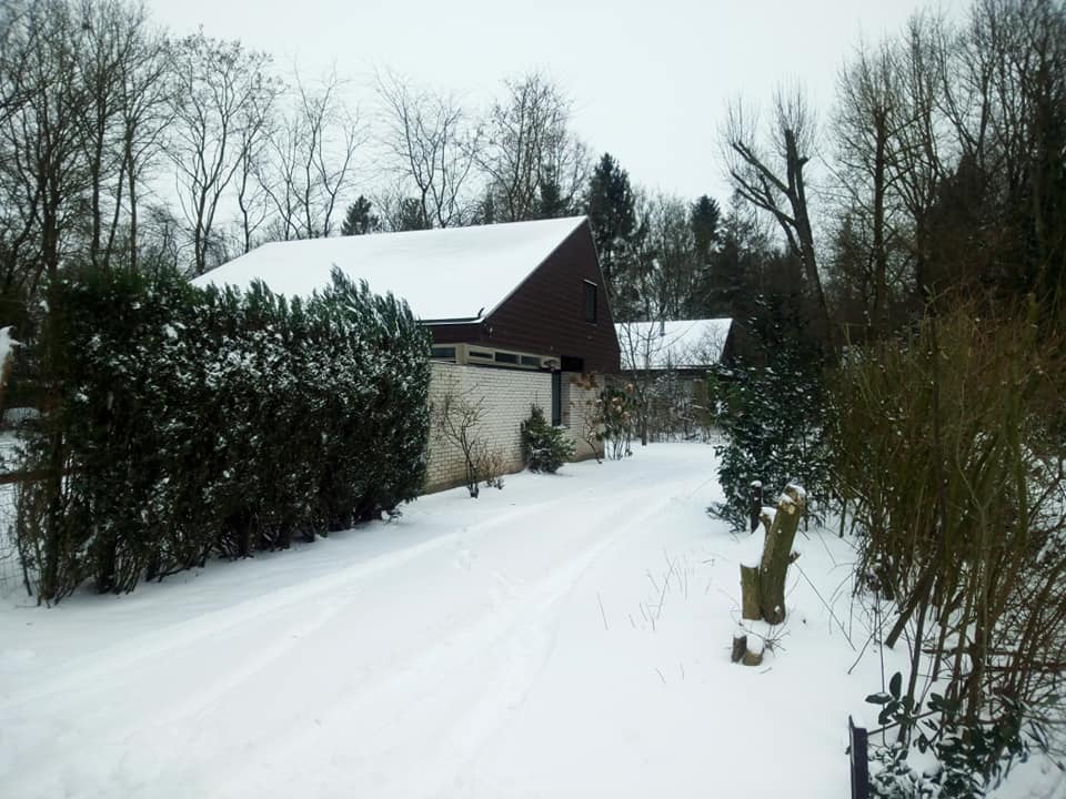 - image: 28