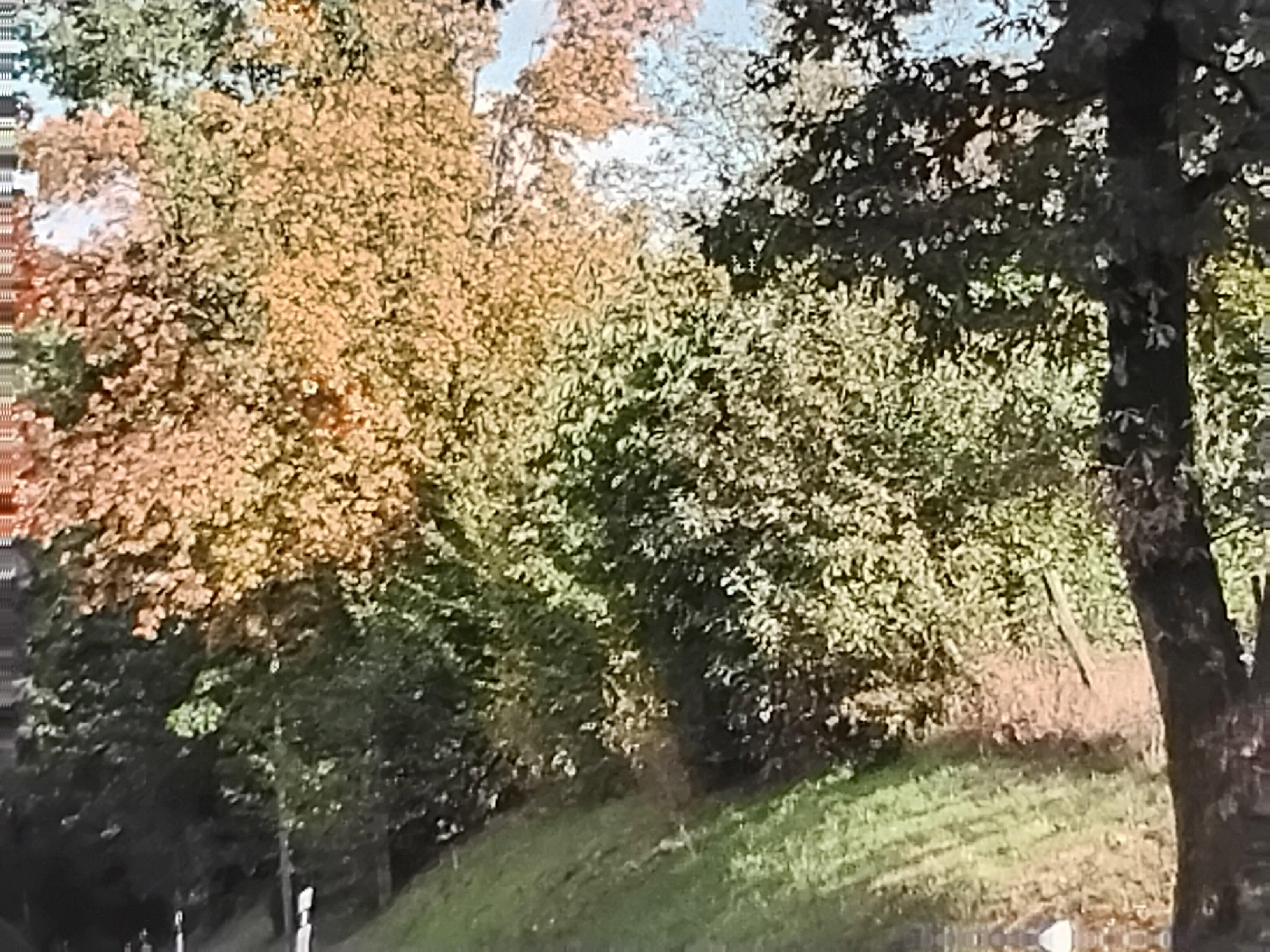 - image: 26