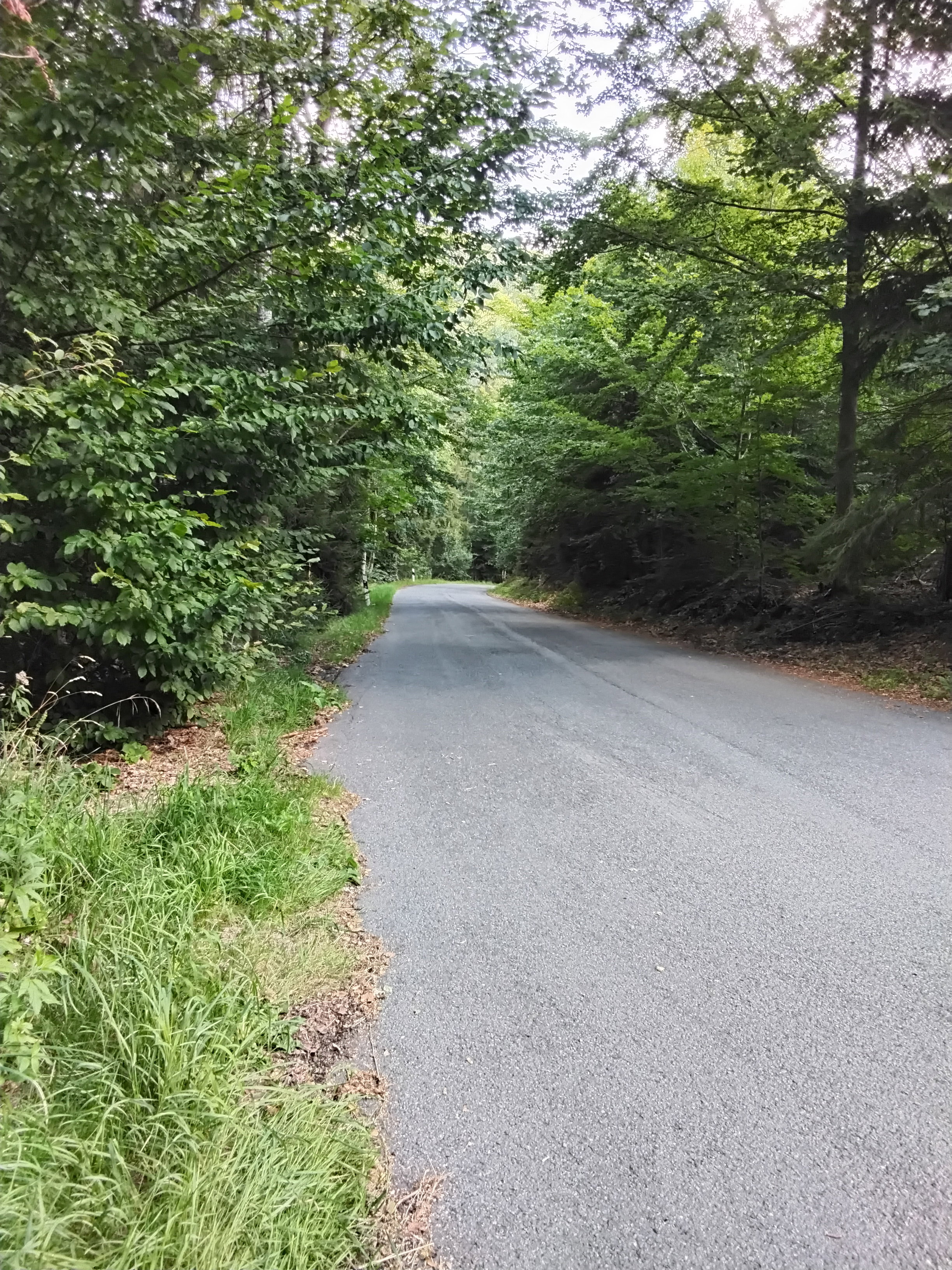 - image: 17