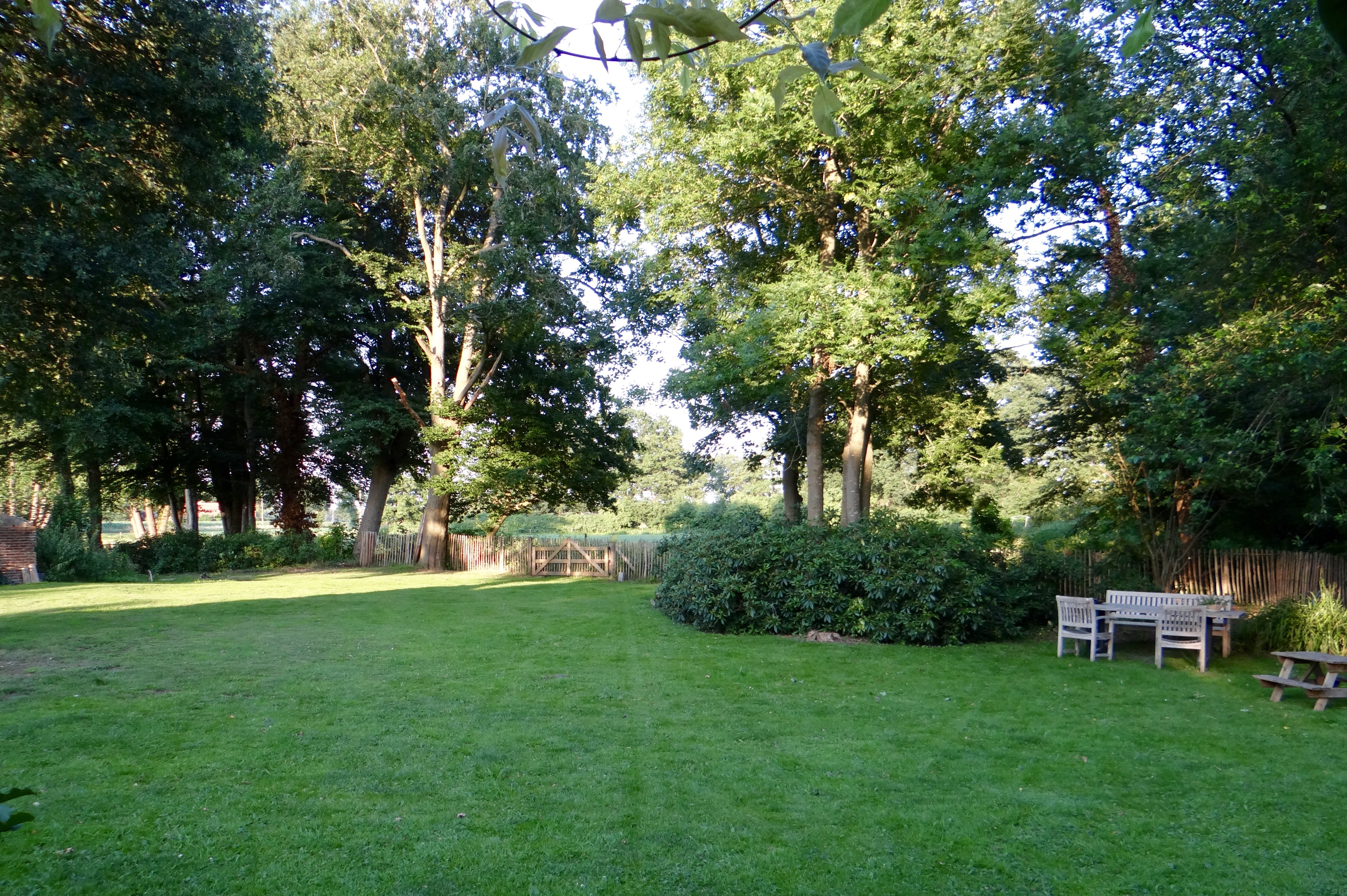 - image: 10