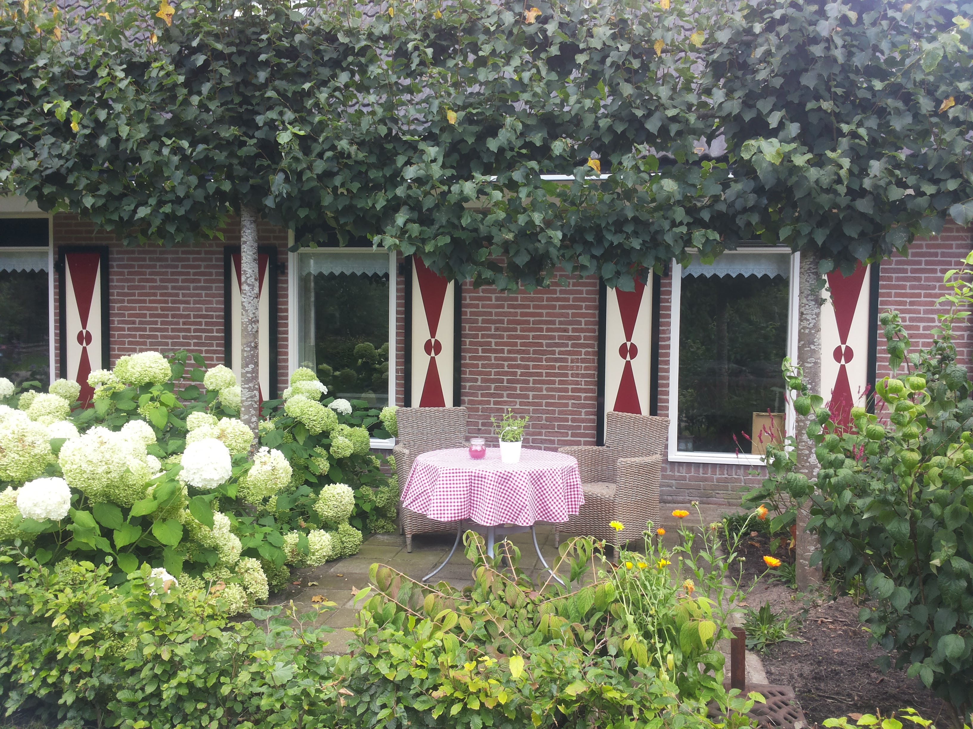Casa nella natura a Hamingen
