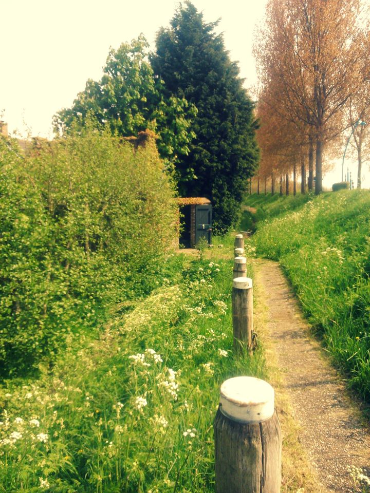 Natuurhuisje in Stavenisse