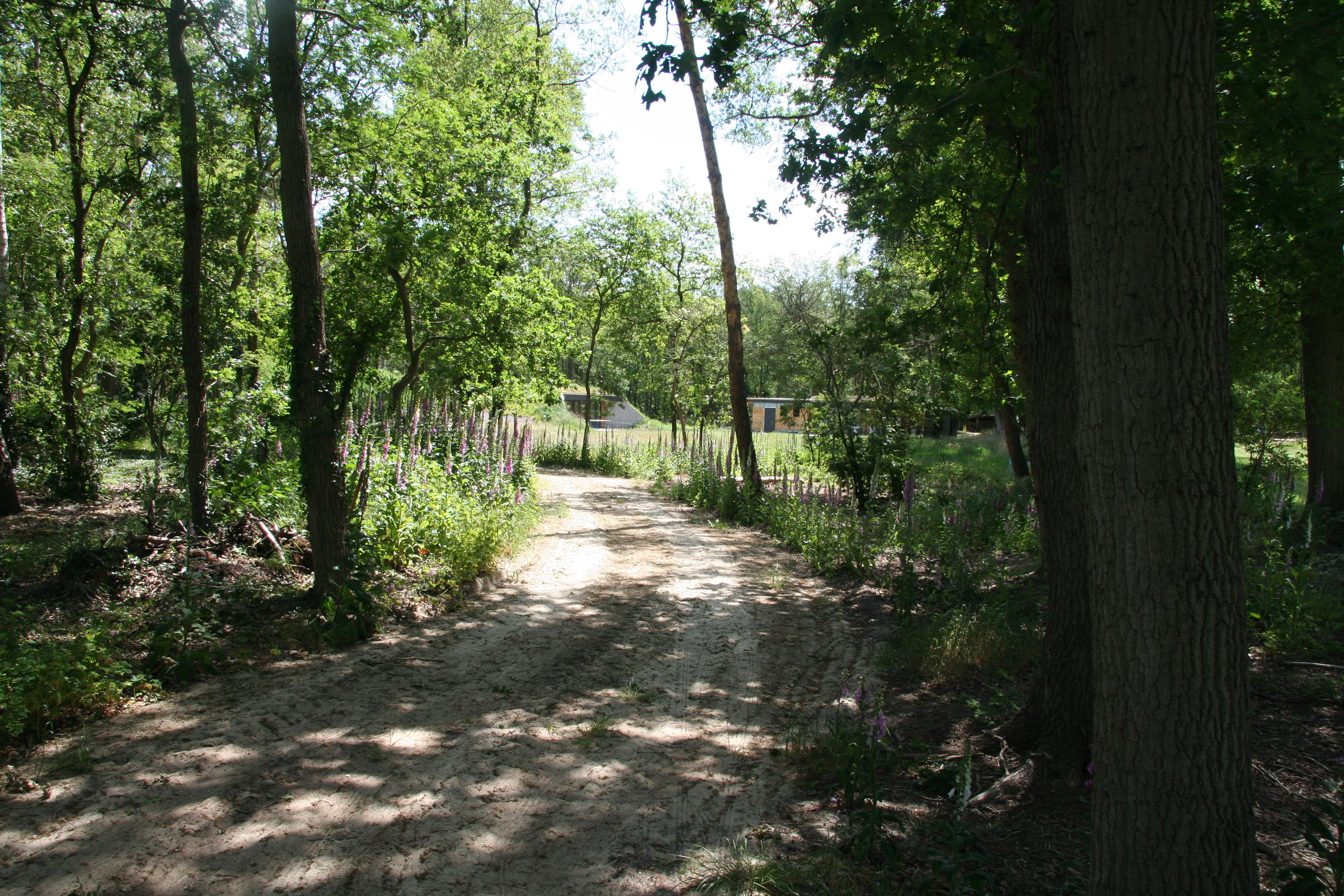 - image: 19
