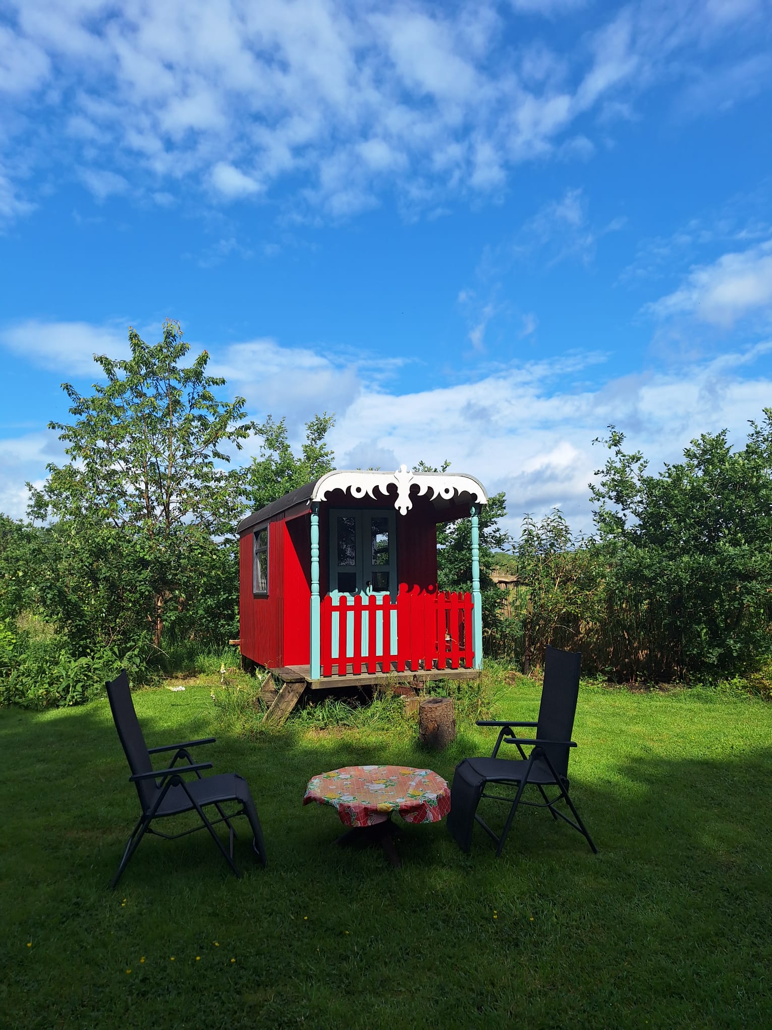 Natuurhuisje in Orvelte