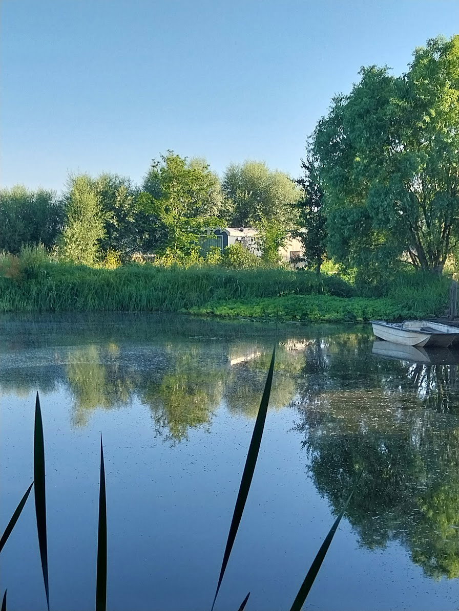 Casa nella natura a Zarren