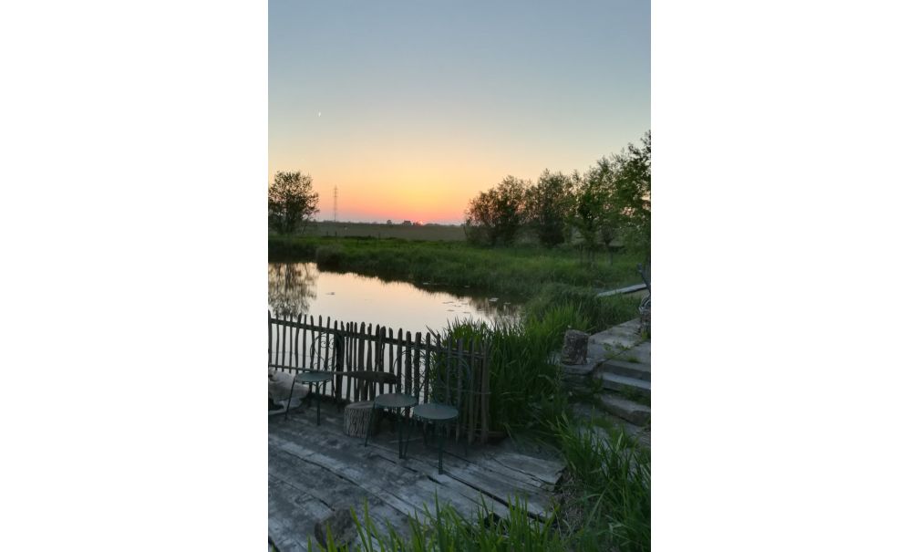 - image: 16