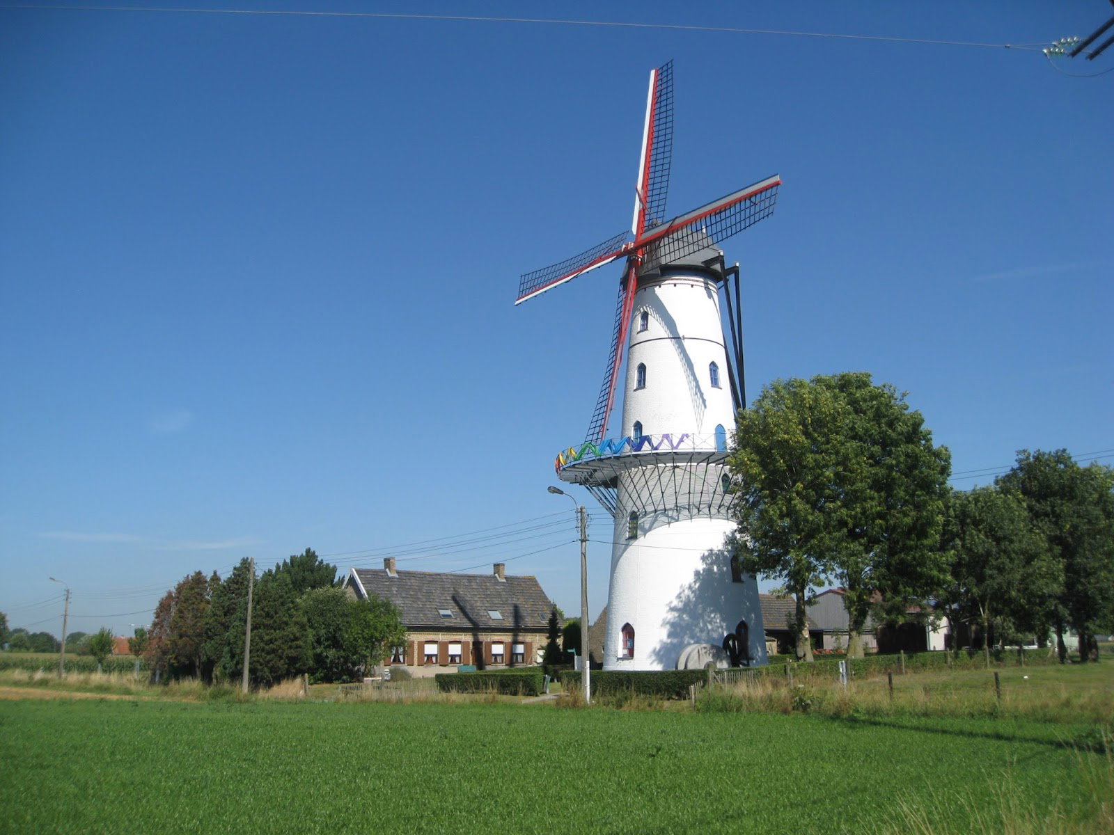 - image: 24