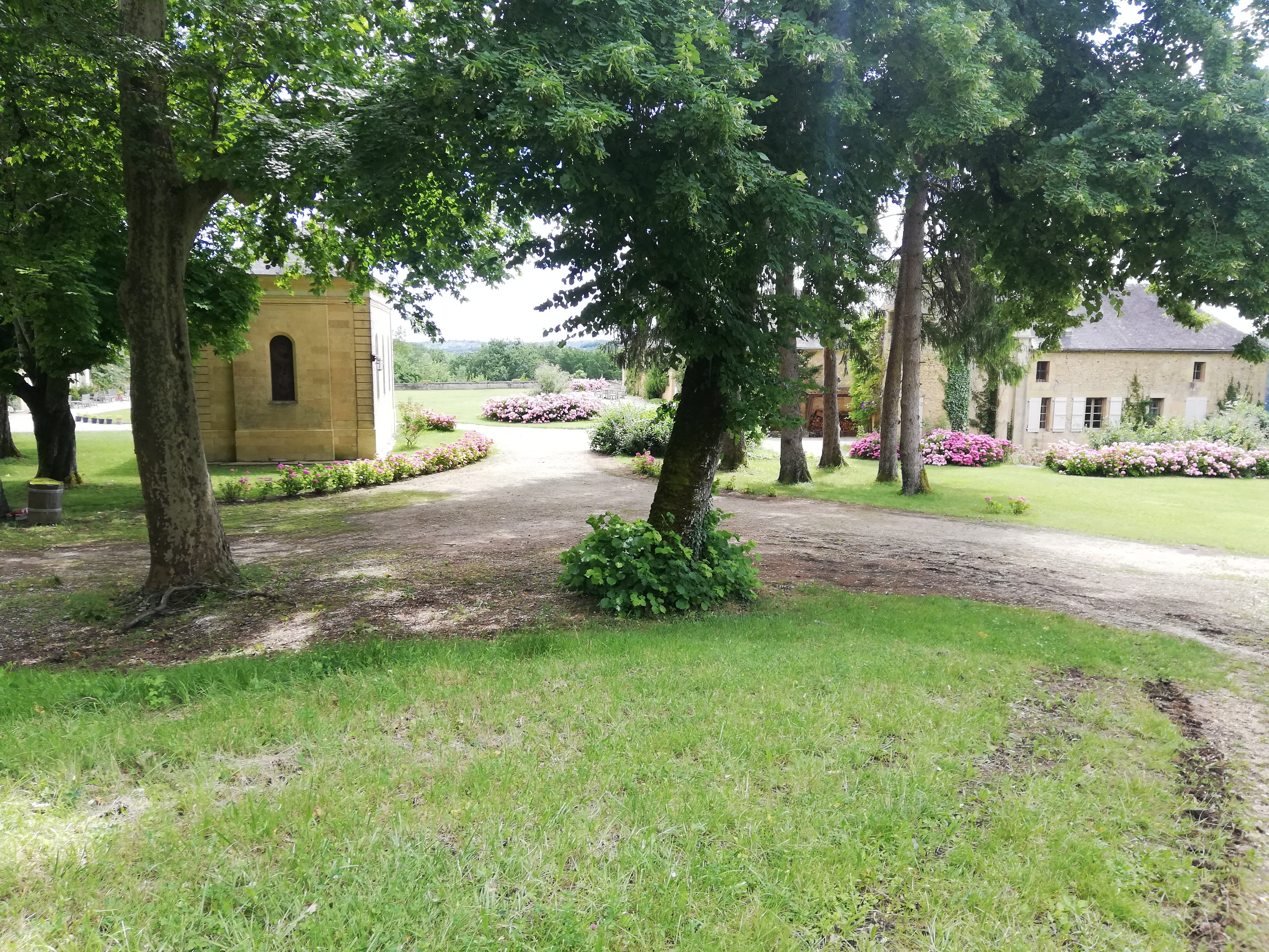 - image: 14