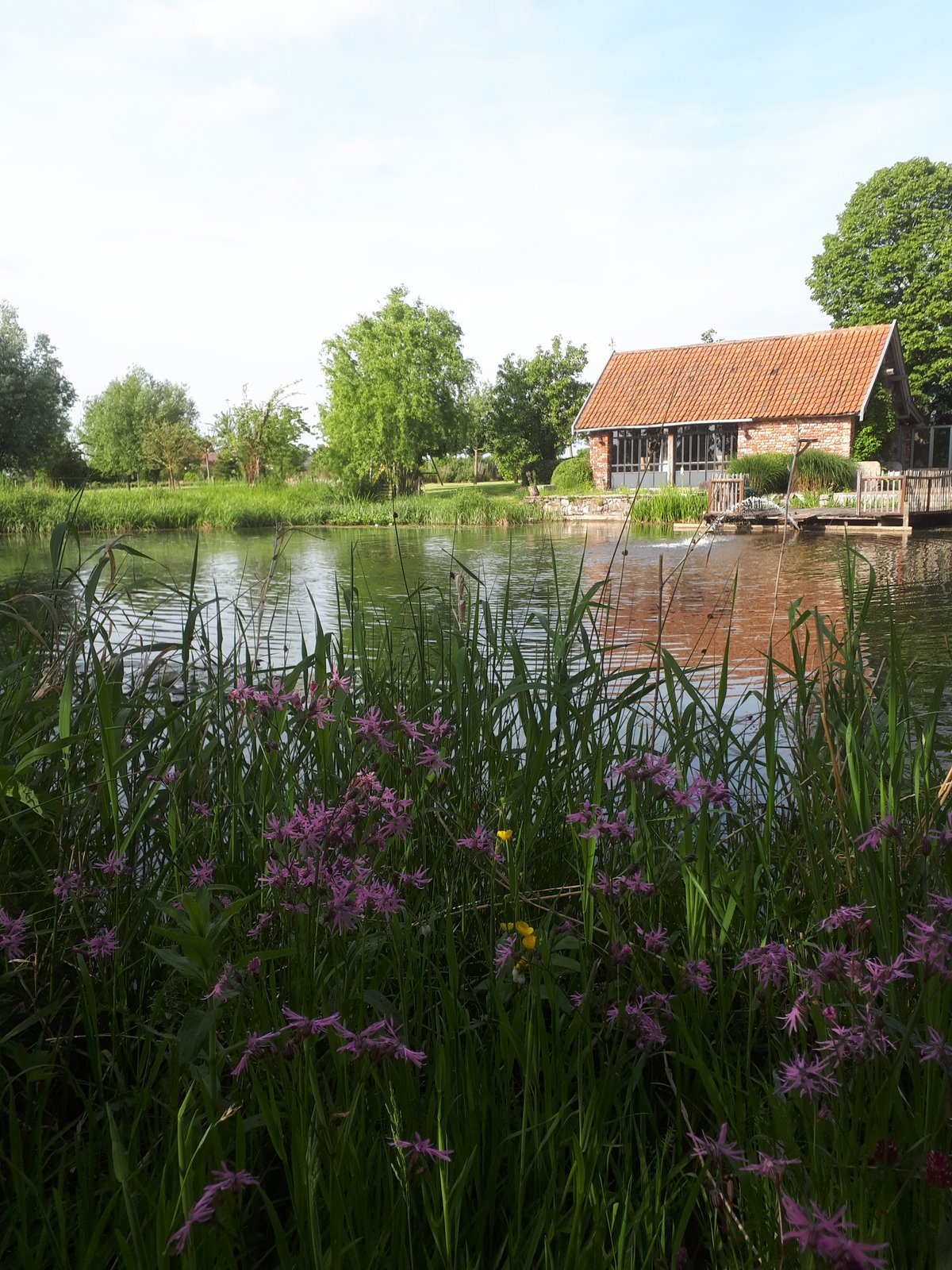 Natuurhuisje in Zarren
