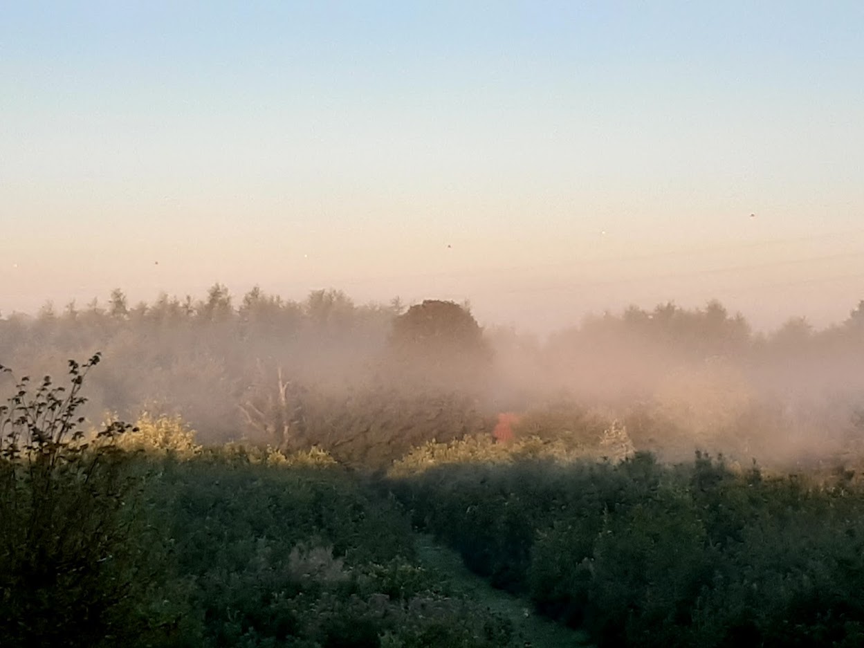 Natuurhuisje in Zarren
