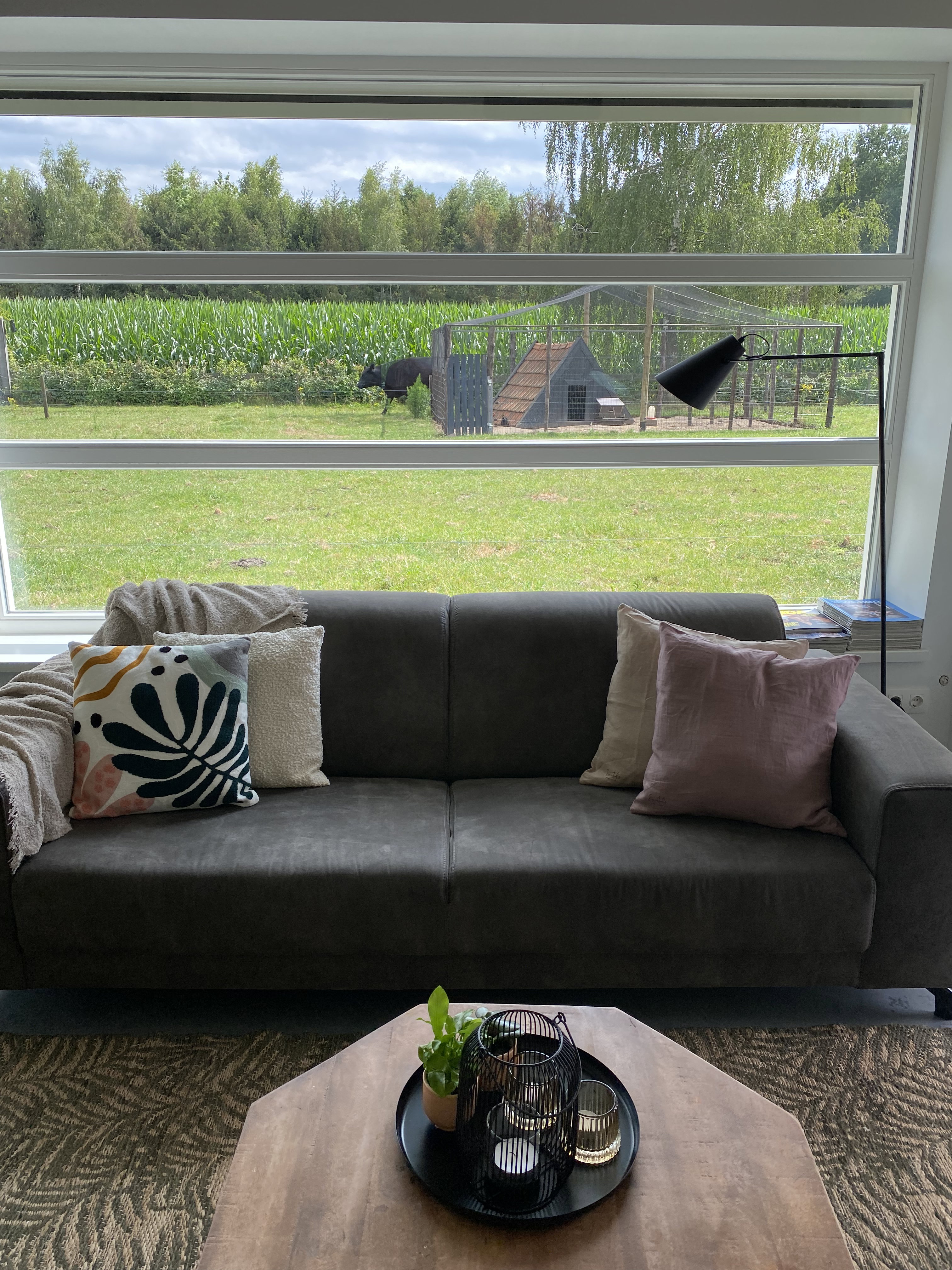 - image: 11