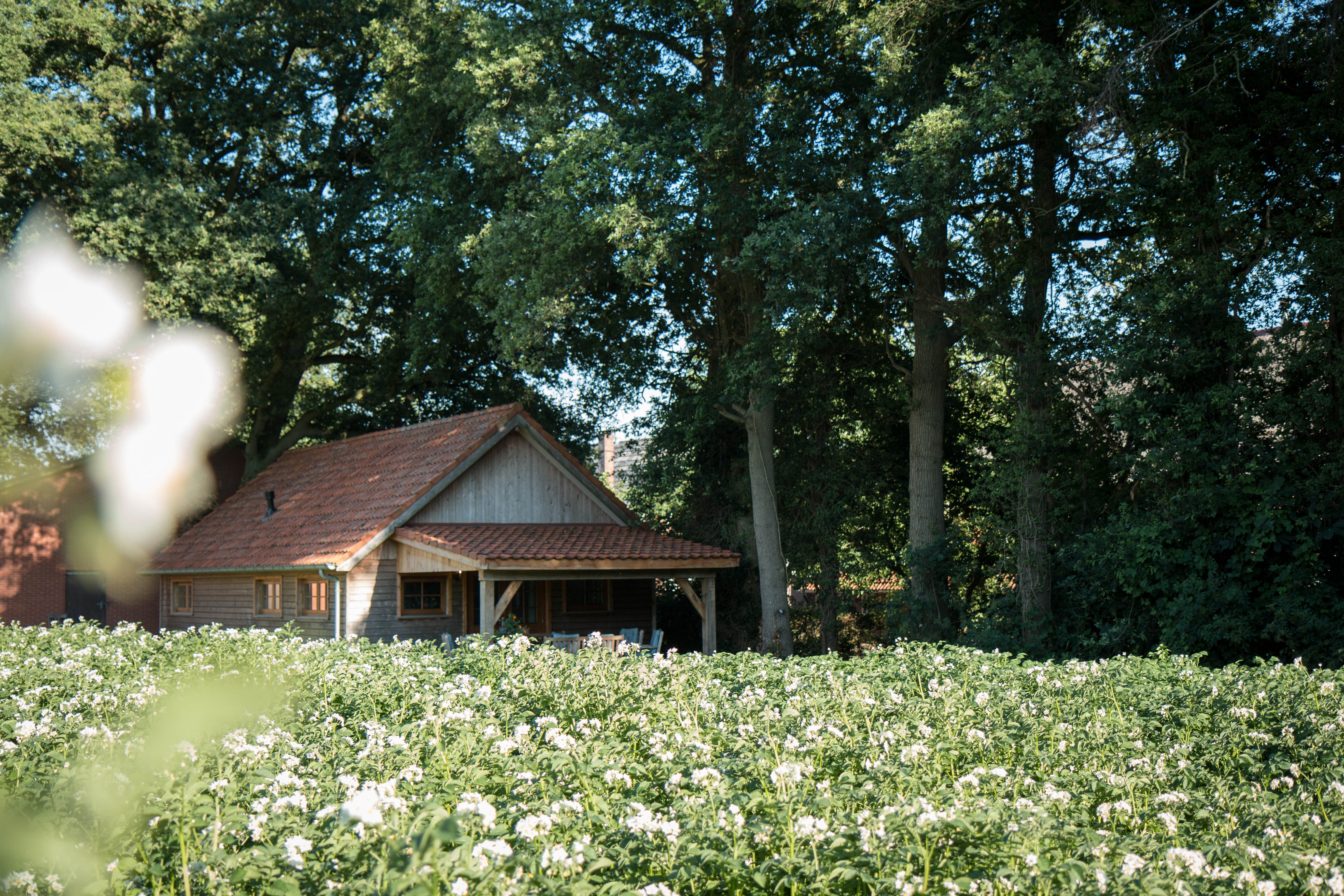 Naturhäuschen in Diepenheim