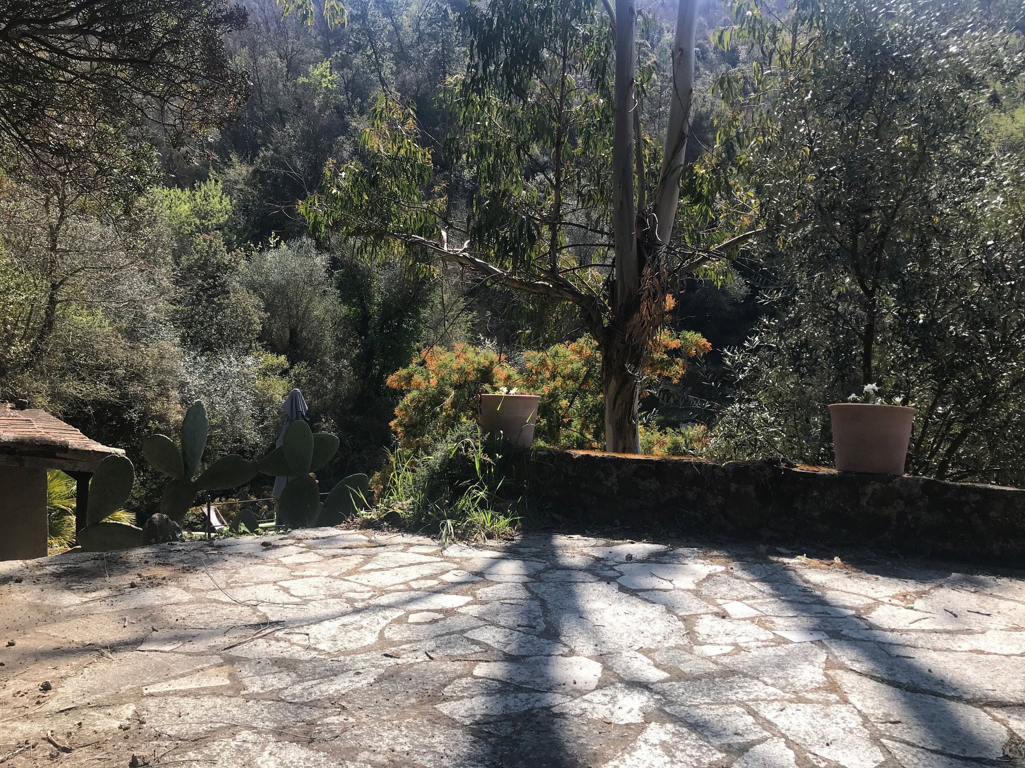 Casa nella natura a Ventimiglia