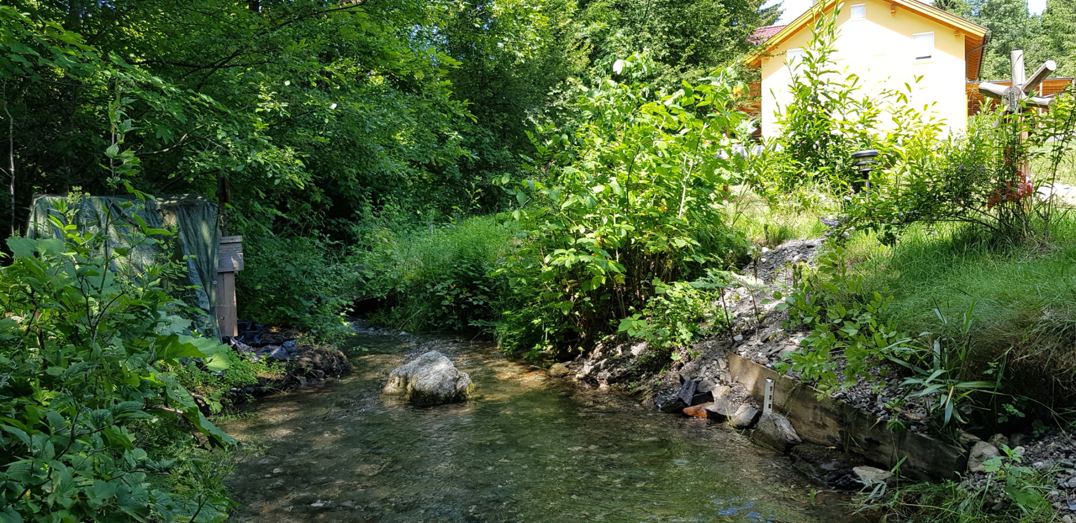 - image: 11