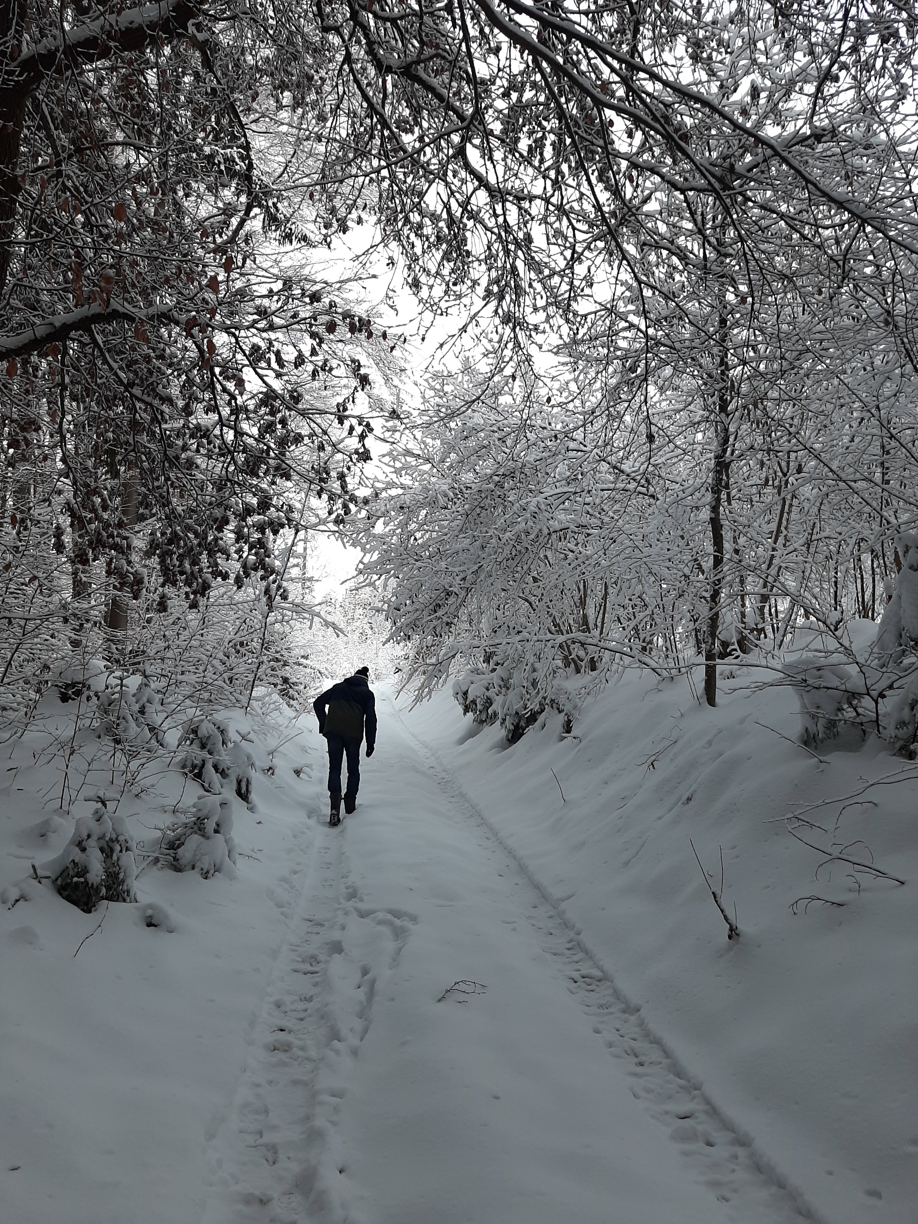 Natuurhuisje in Arnoldstein