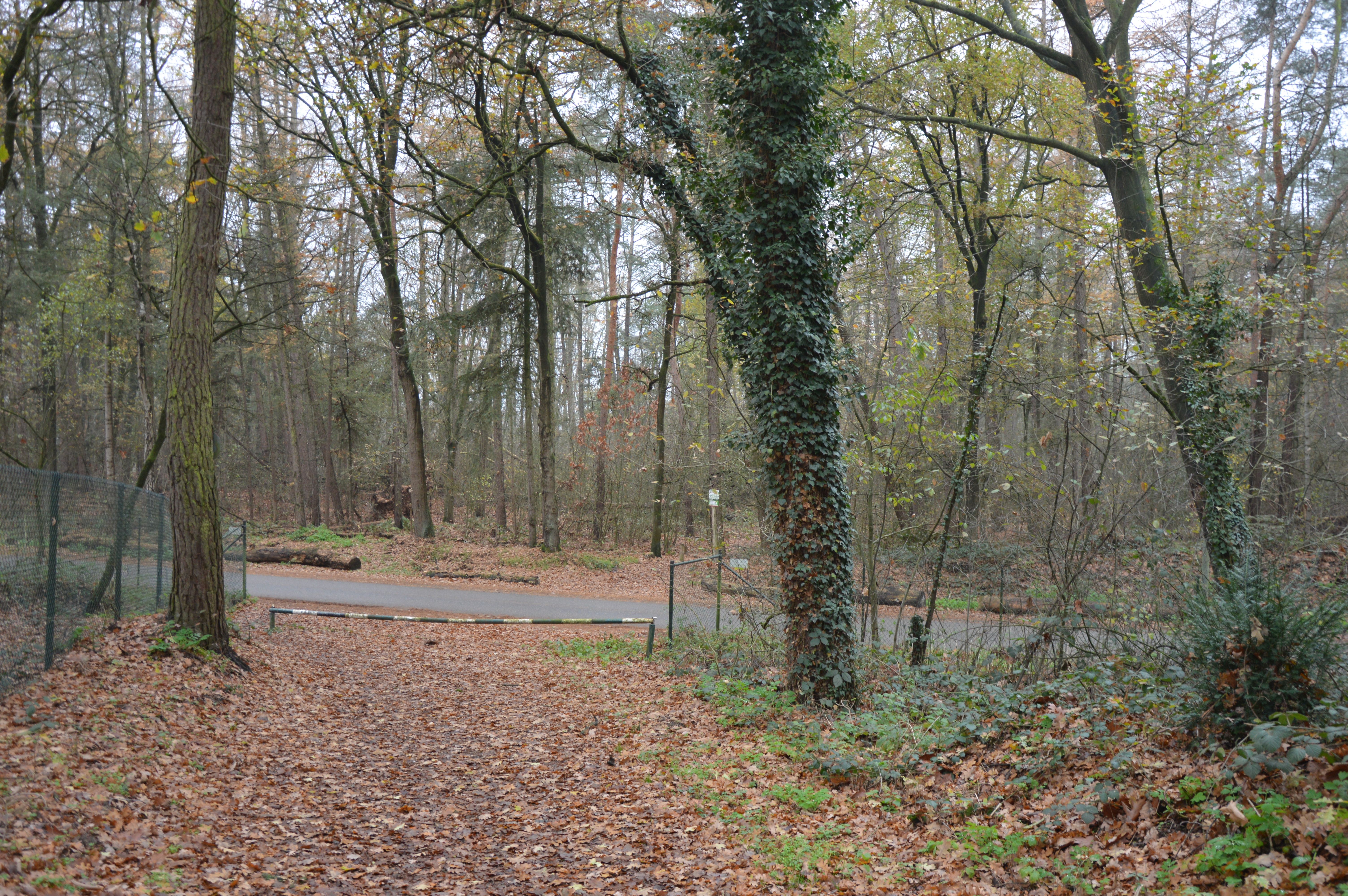 Natuurhuisje in Blitterswijck