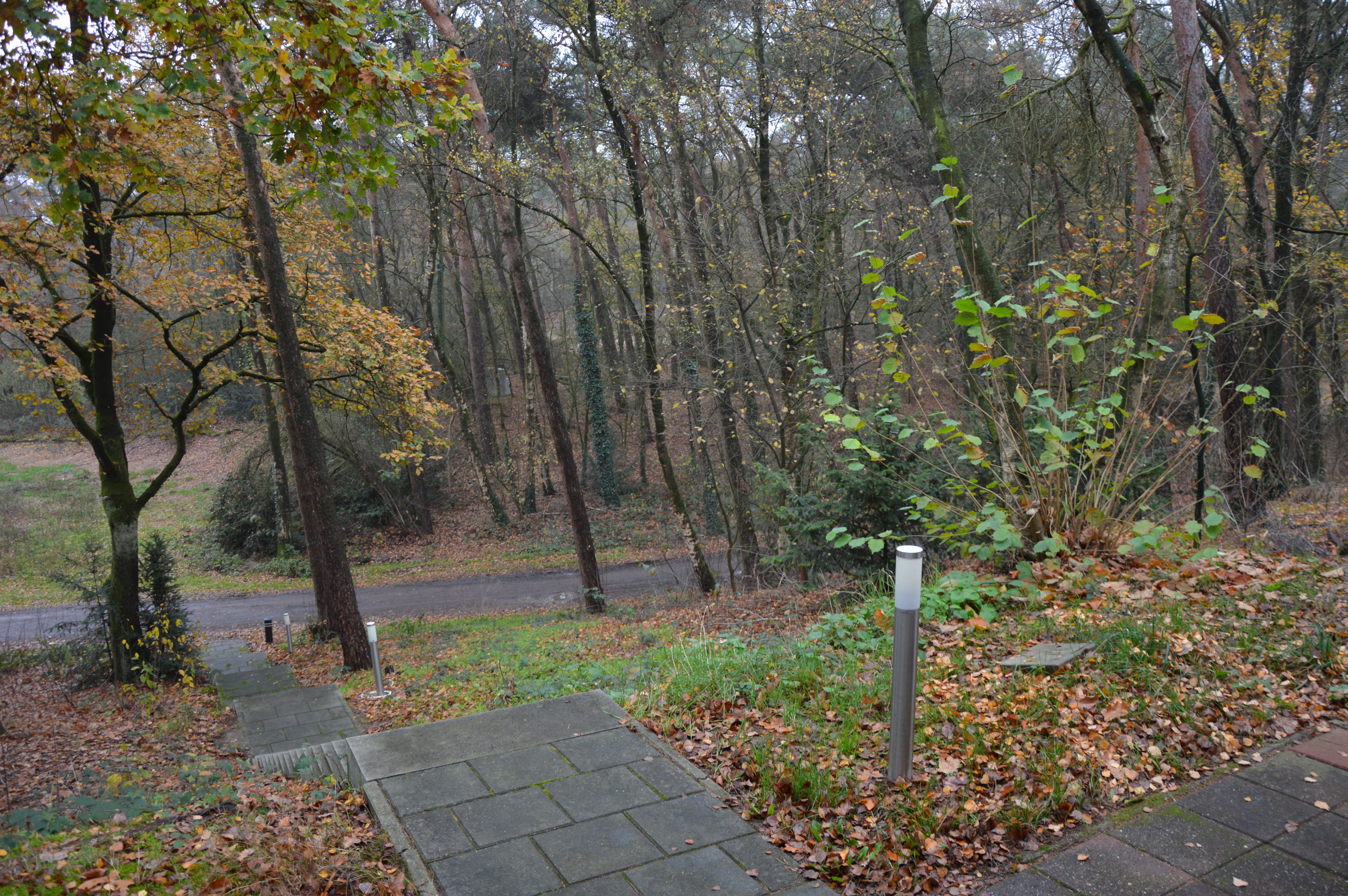 Natuurhuisje in Blitterswijck