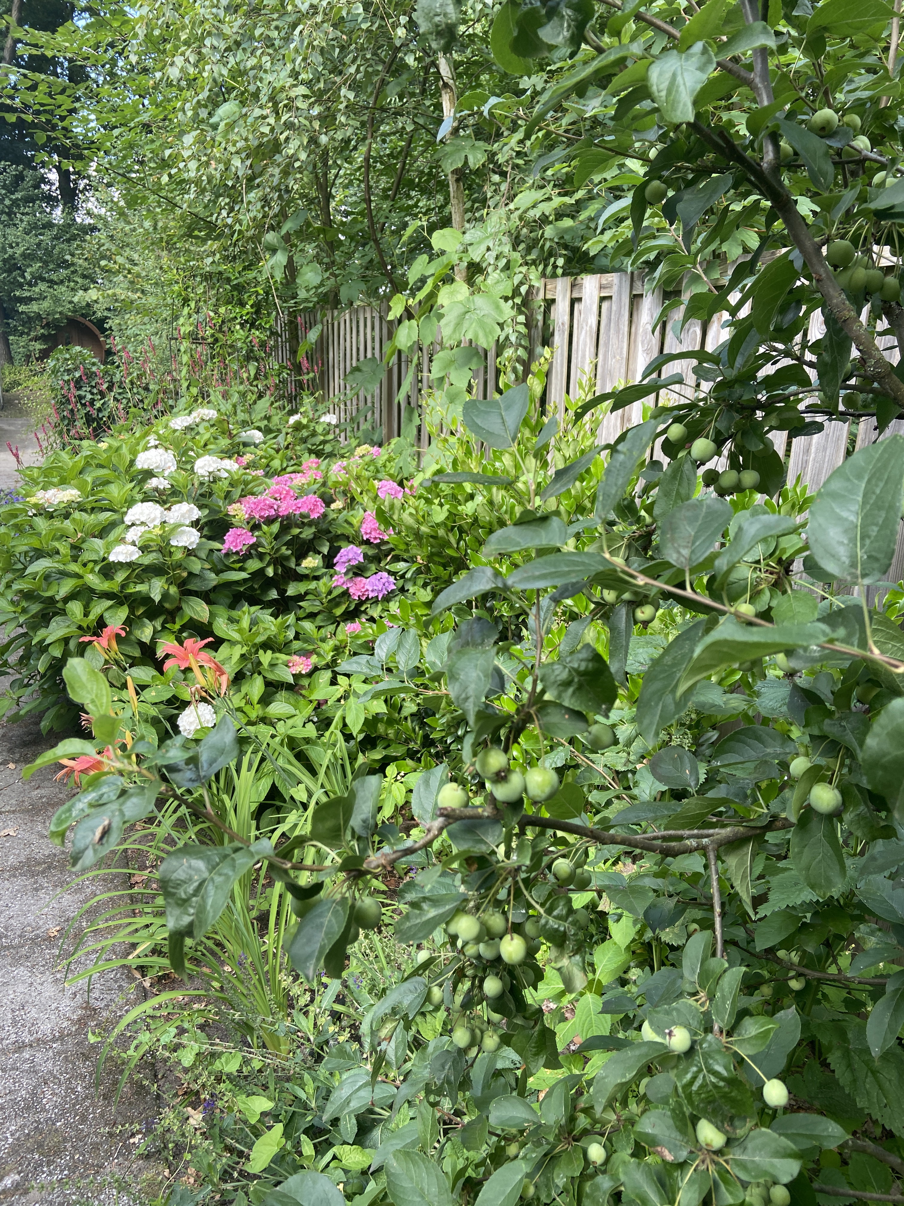 - image: 11