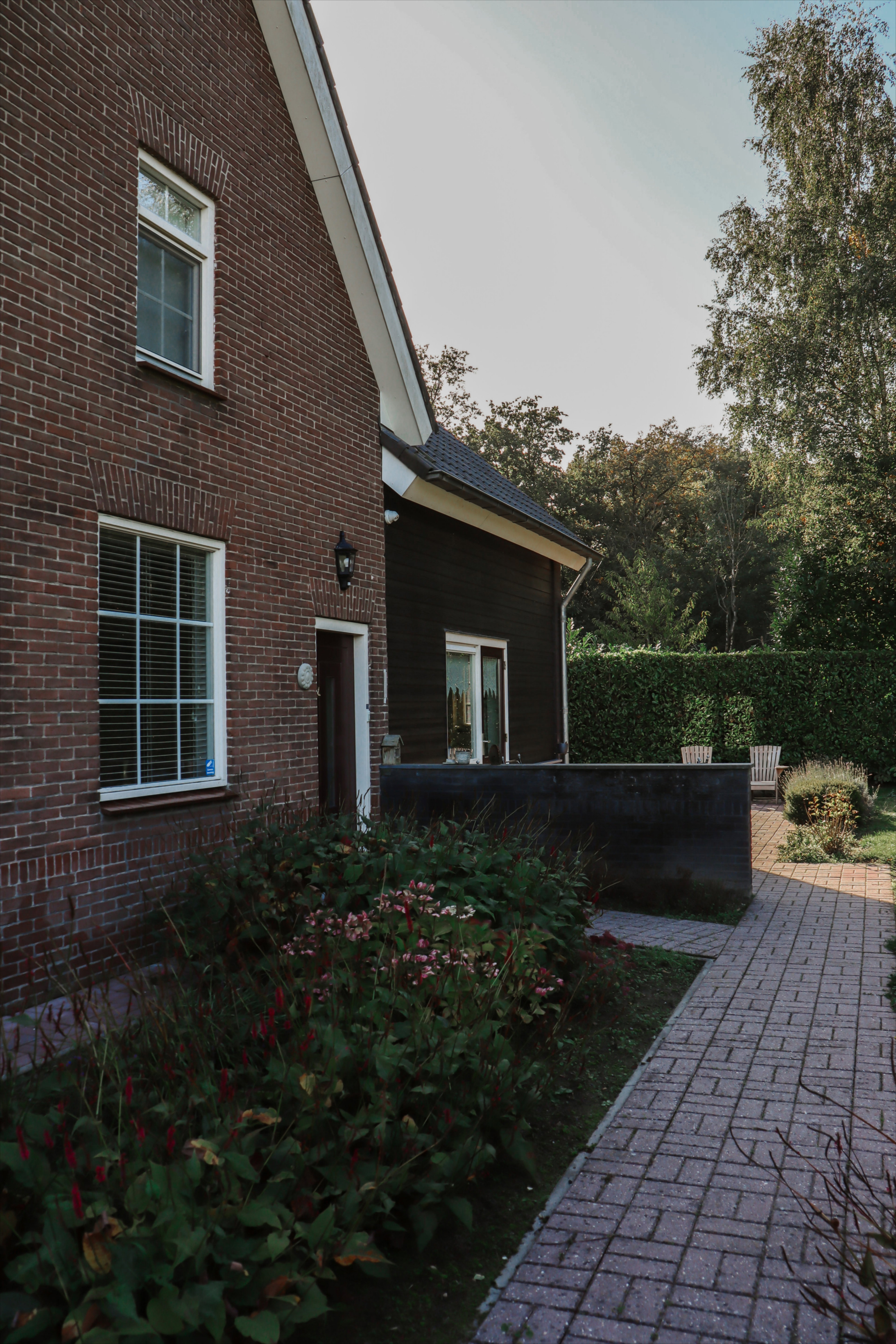Maison nature à Hulst