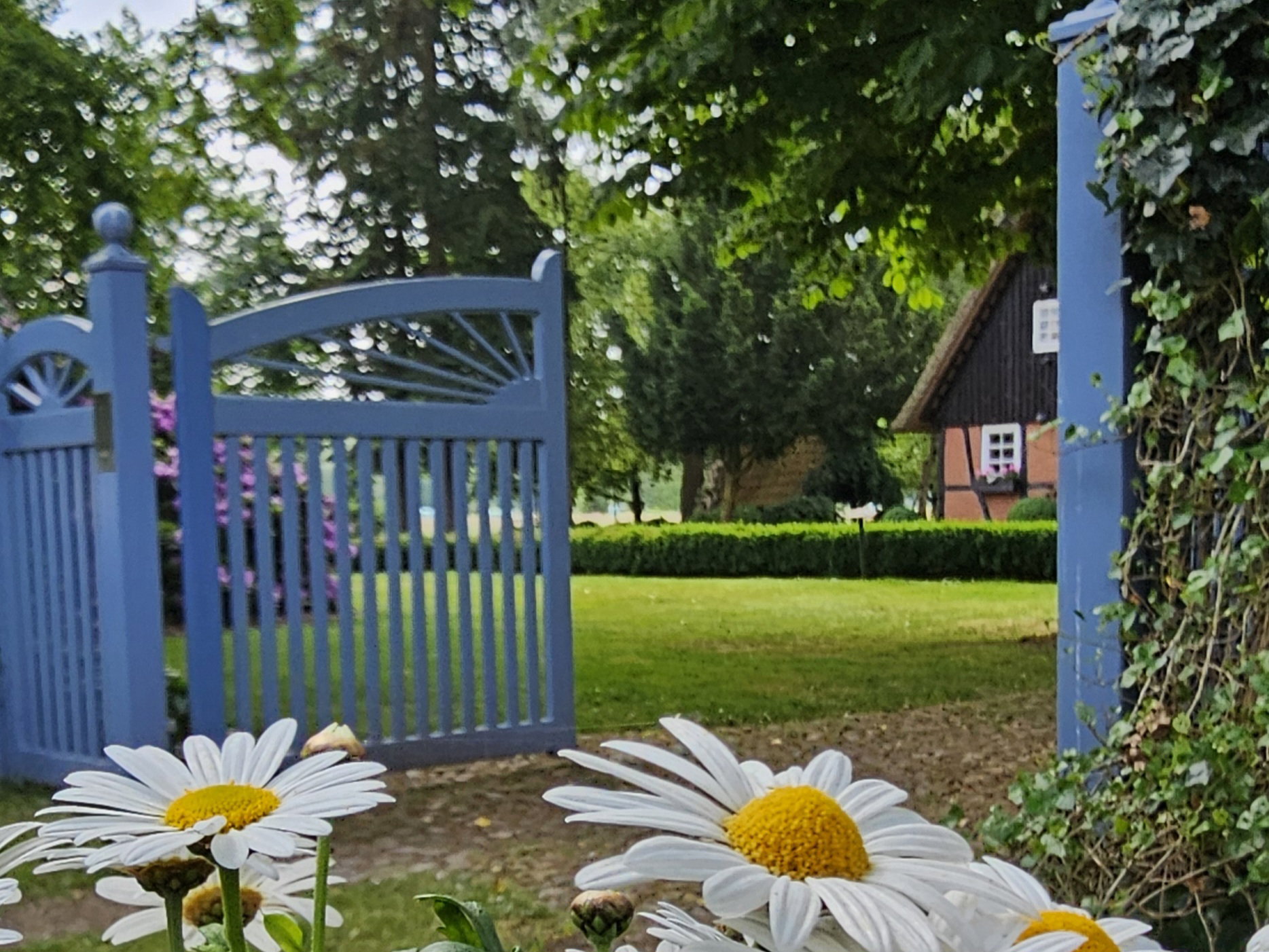 Casa nella natura a Rotenburg (Wümme)