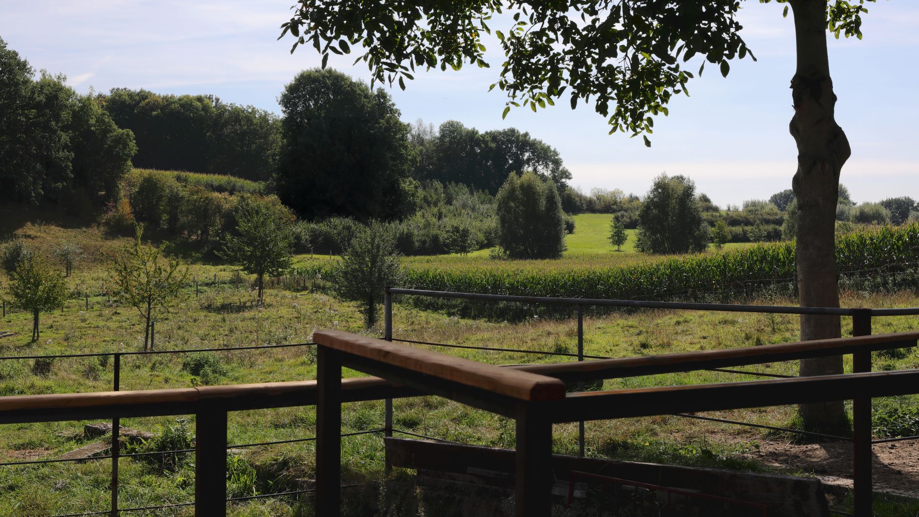 Naturhäuschen in Beek
