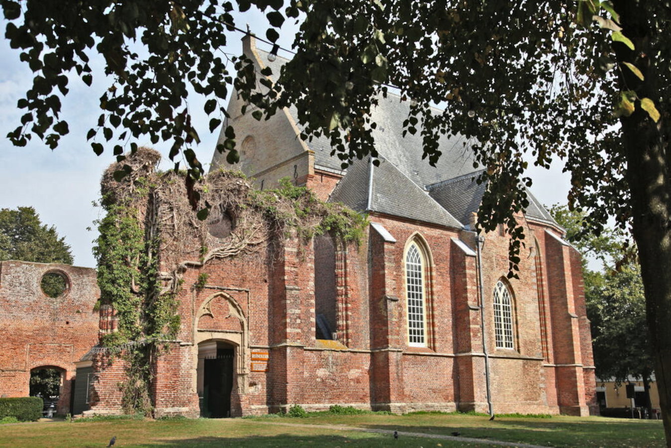 - image: 64