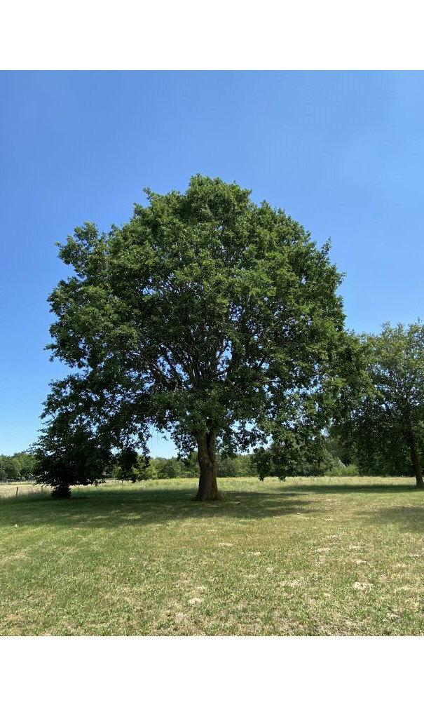 Maison nature à Malden