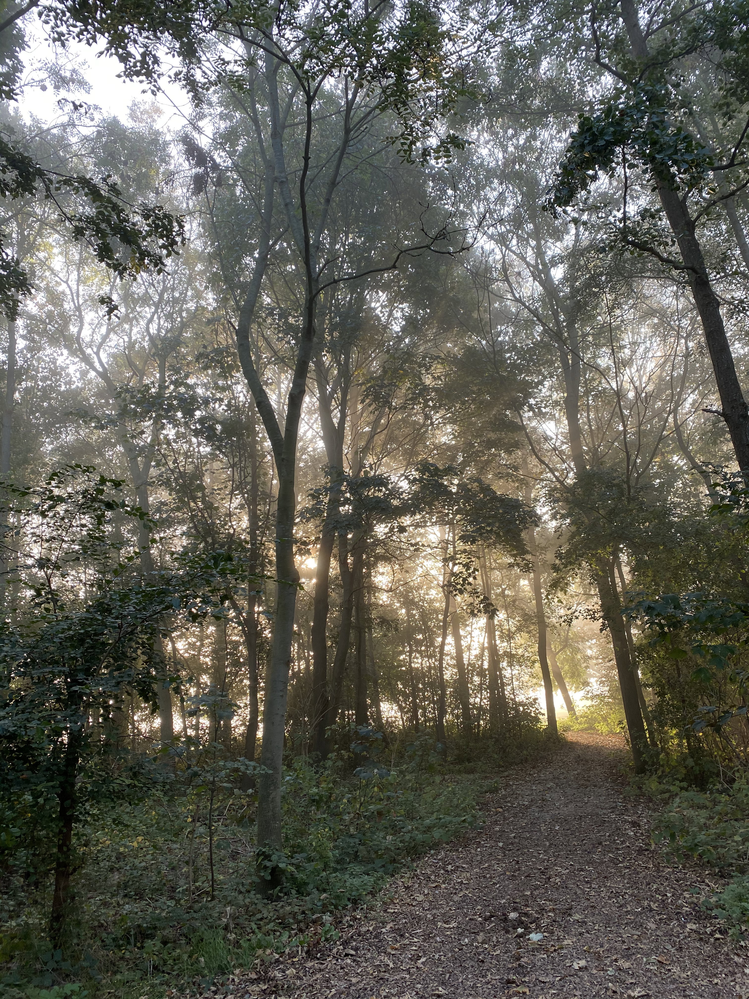 Natuurhuisje in Vrouwenpolder