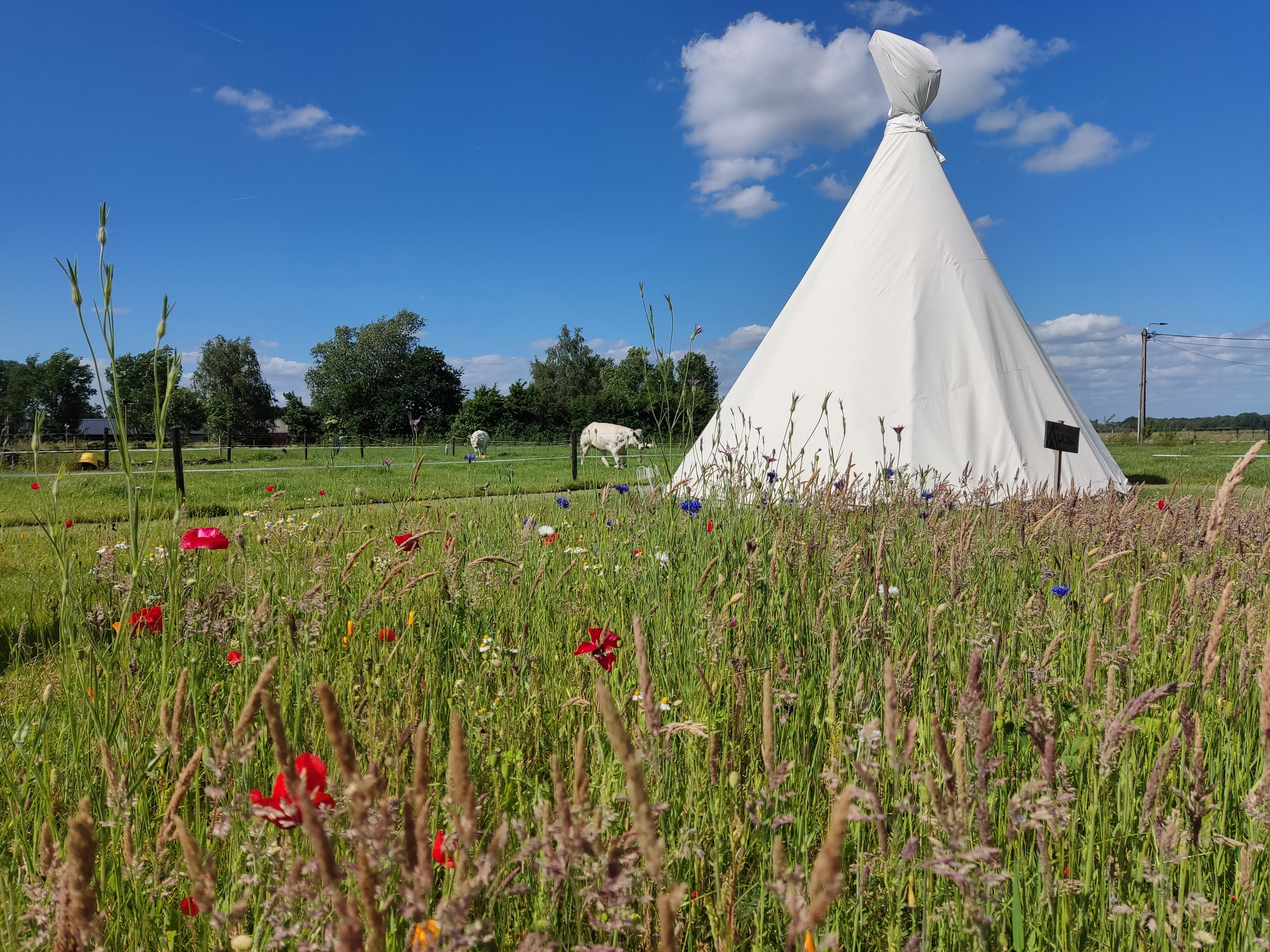 Casa nella natura a Ravels