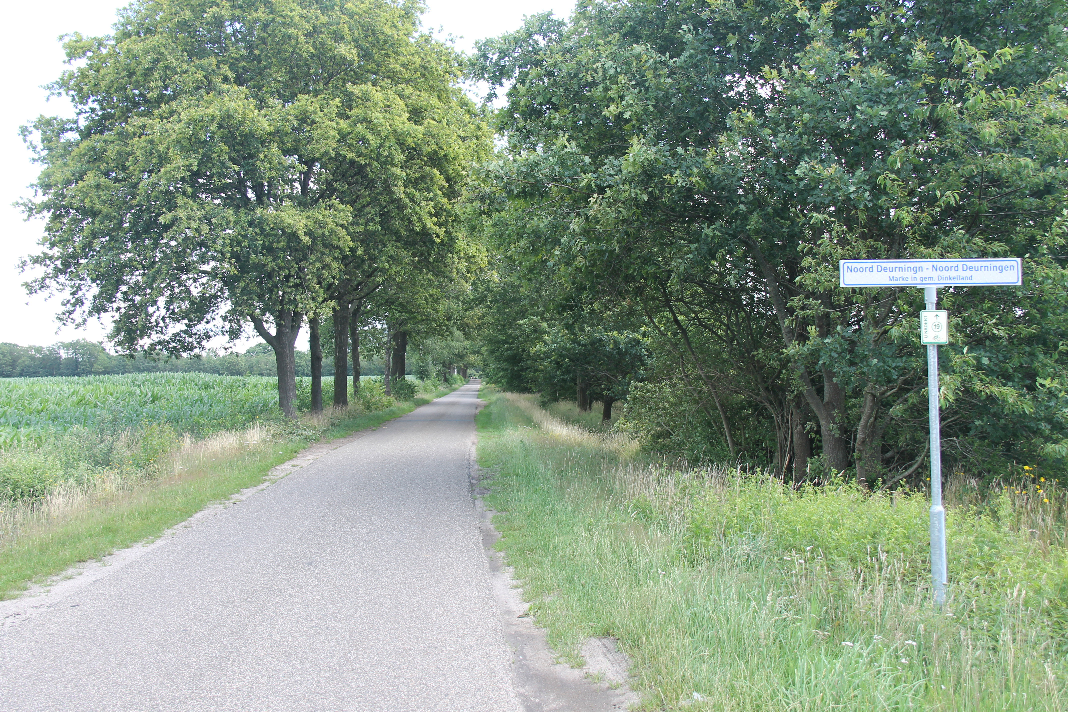 - image: 26