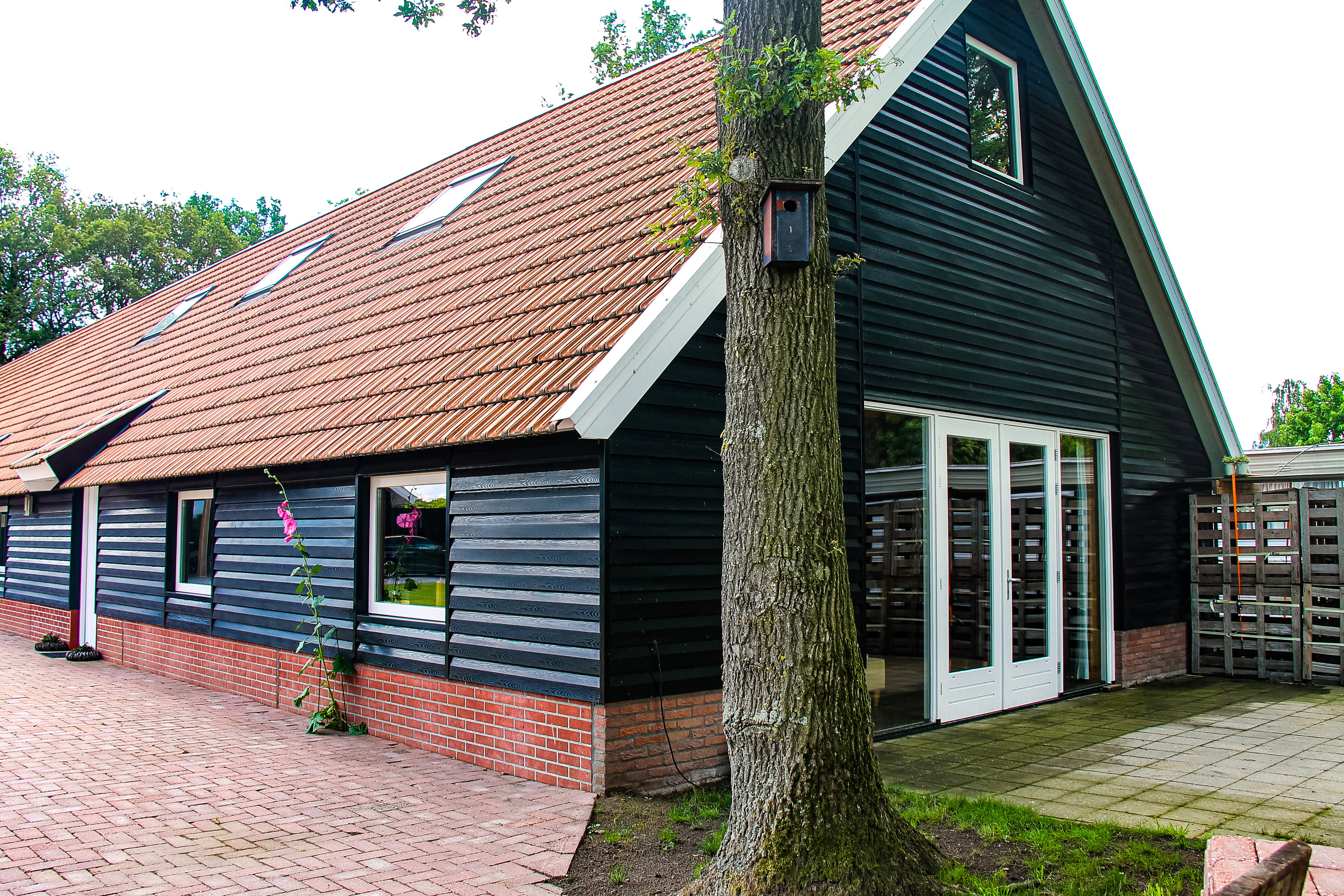 Naturhäuschen in Denekamp