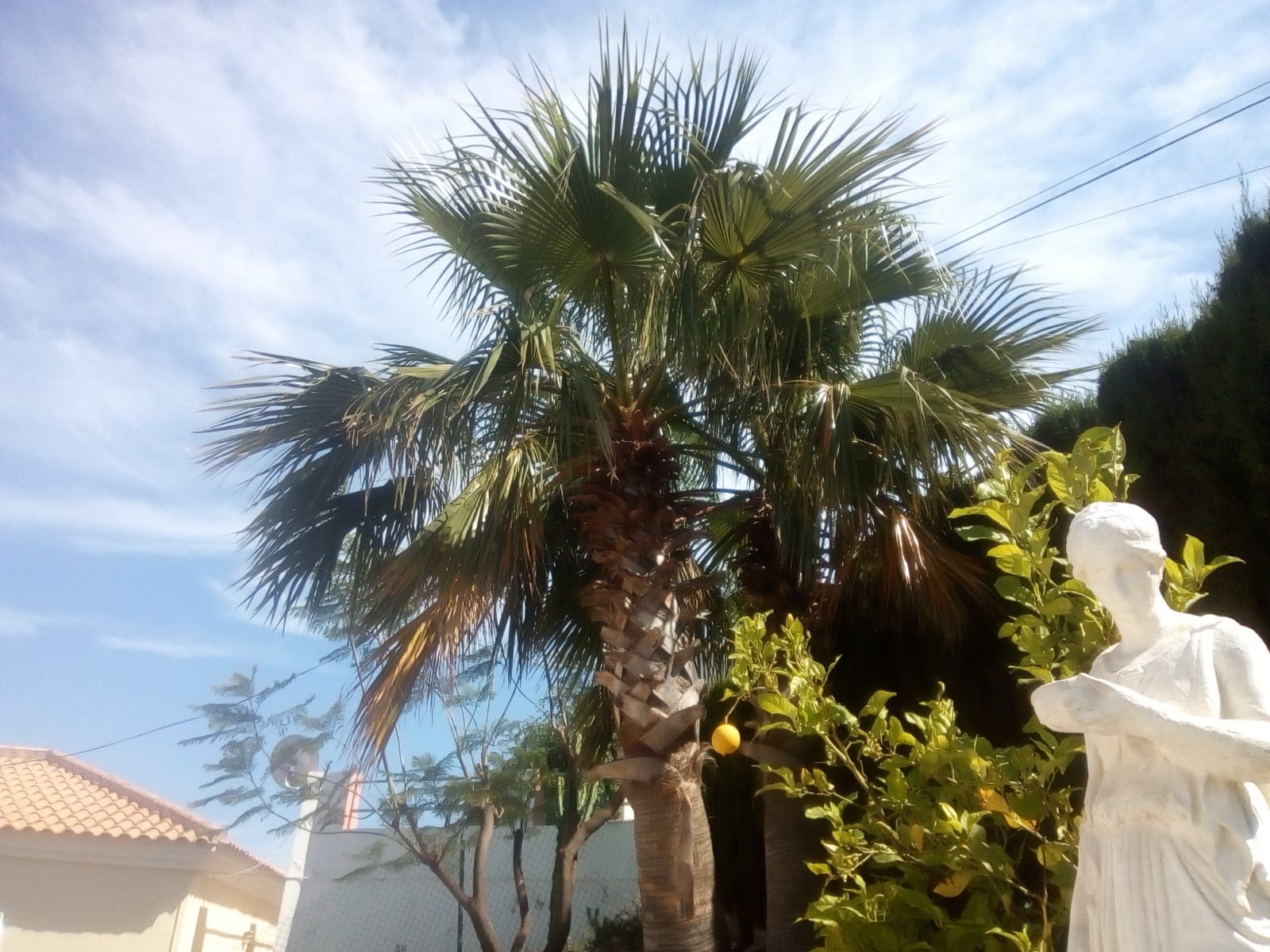 Maison nature à La Nucia