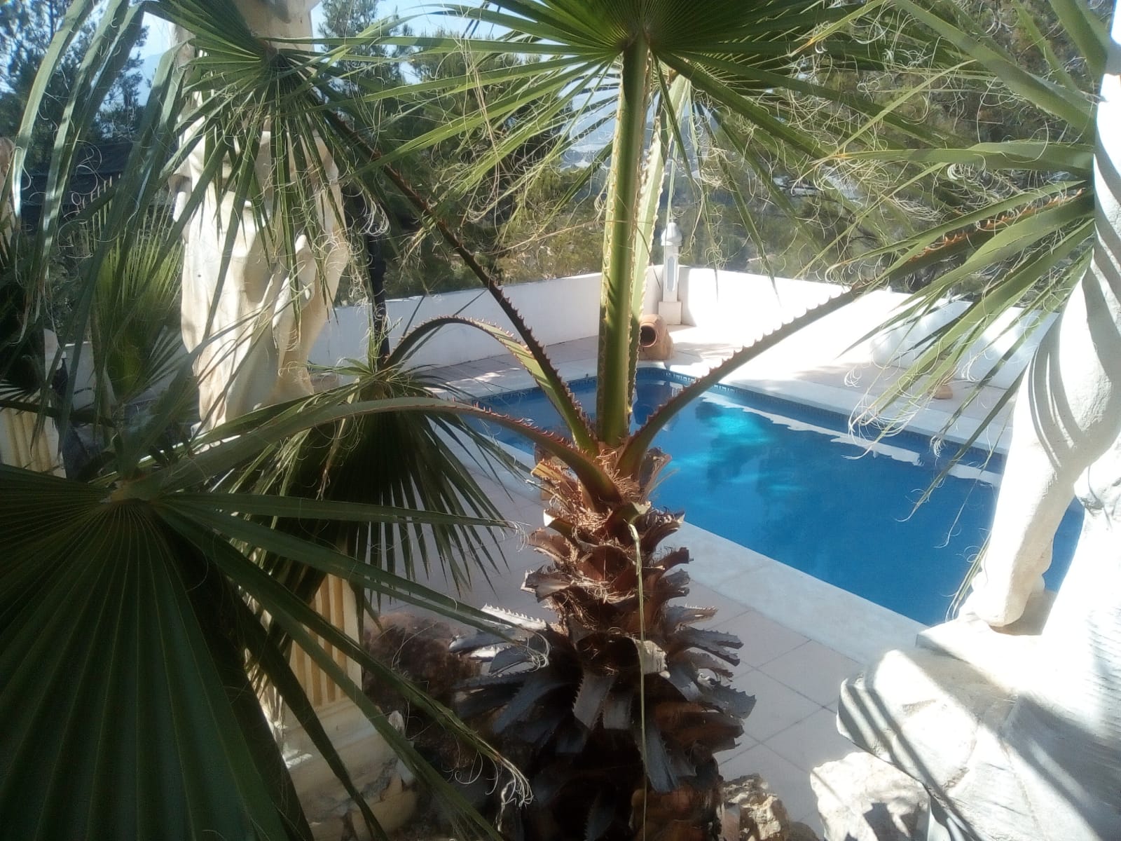 Maison nature à La Nucia