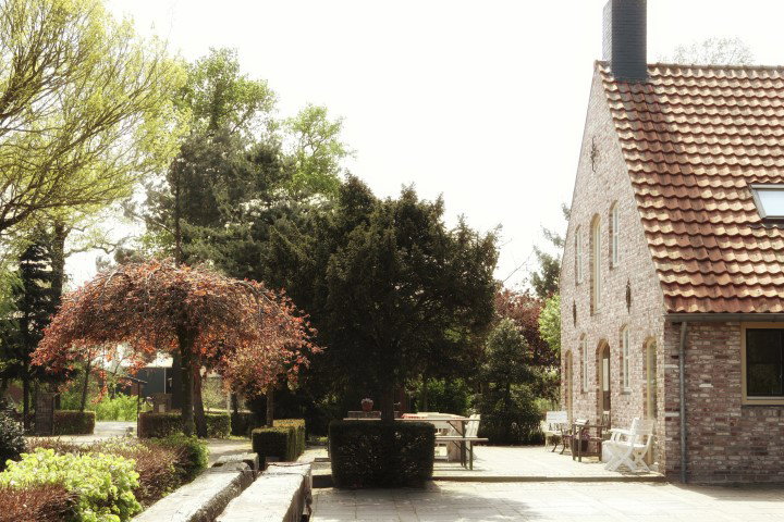- image: 12