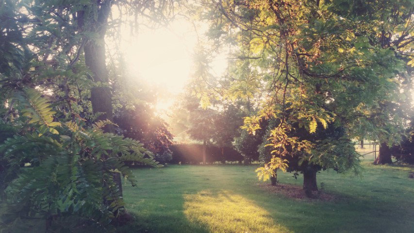 - image: 16