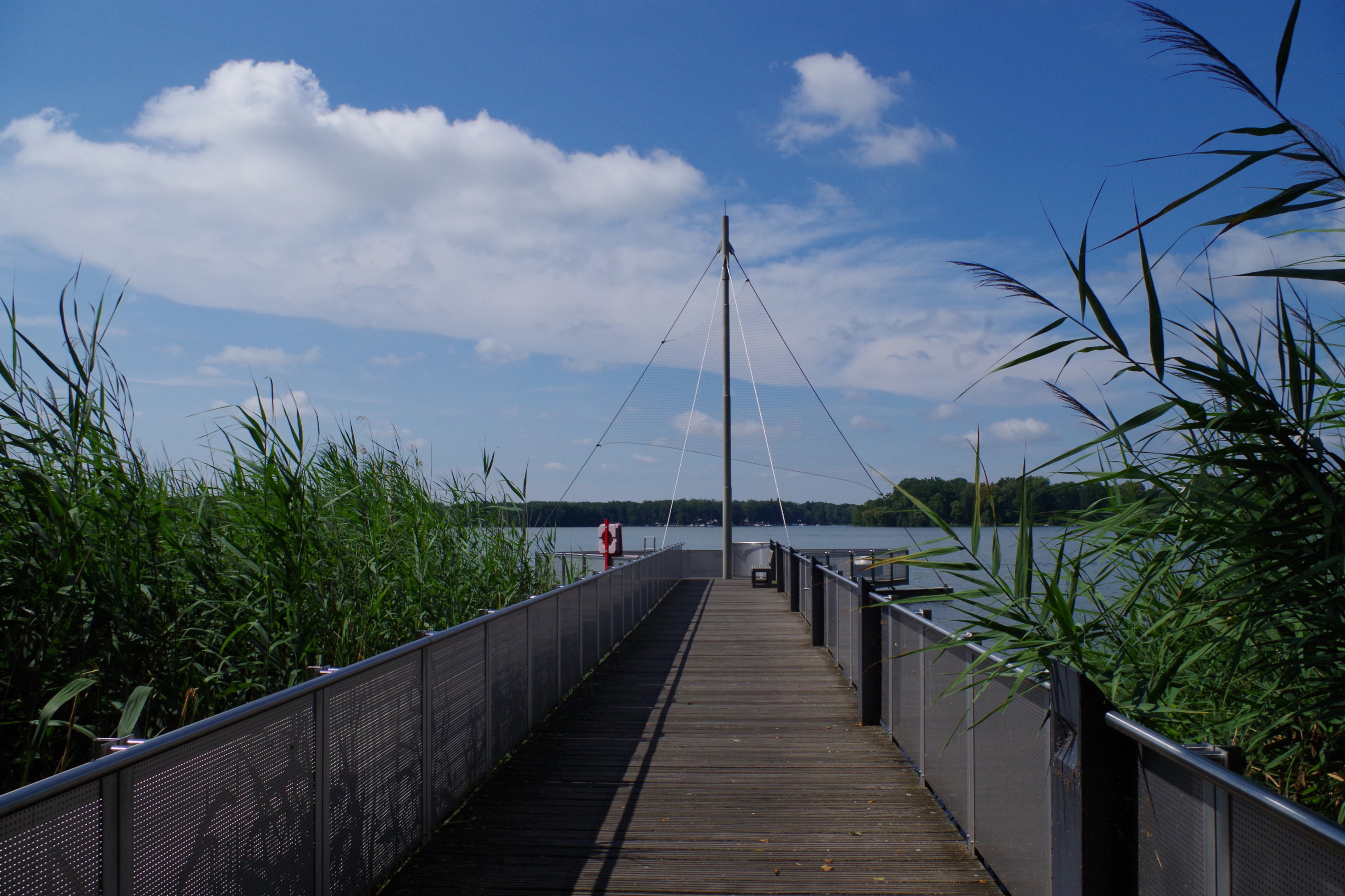 - image: 19