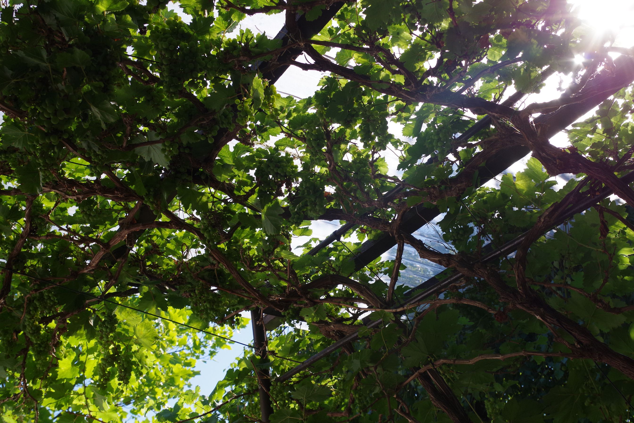 Maison nature à Teupitz