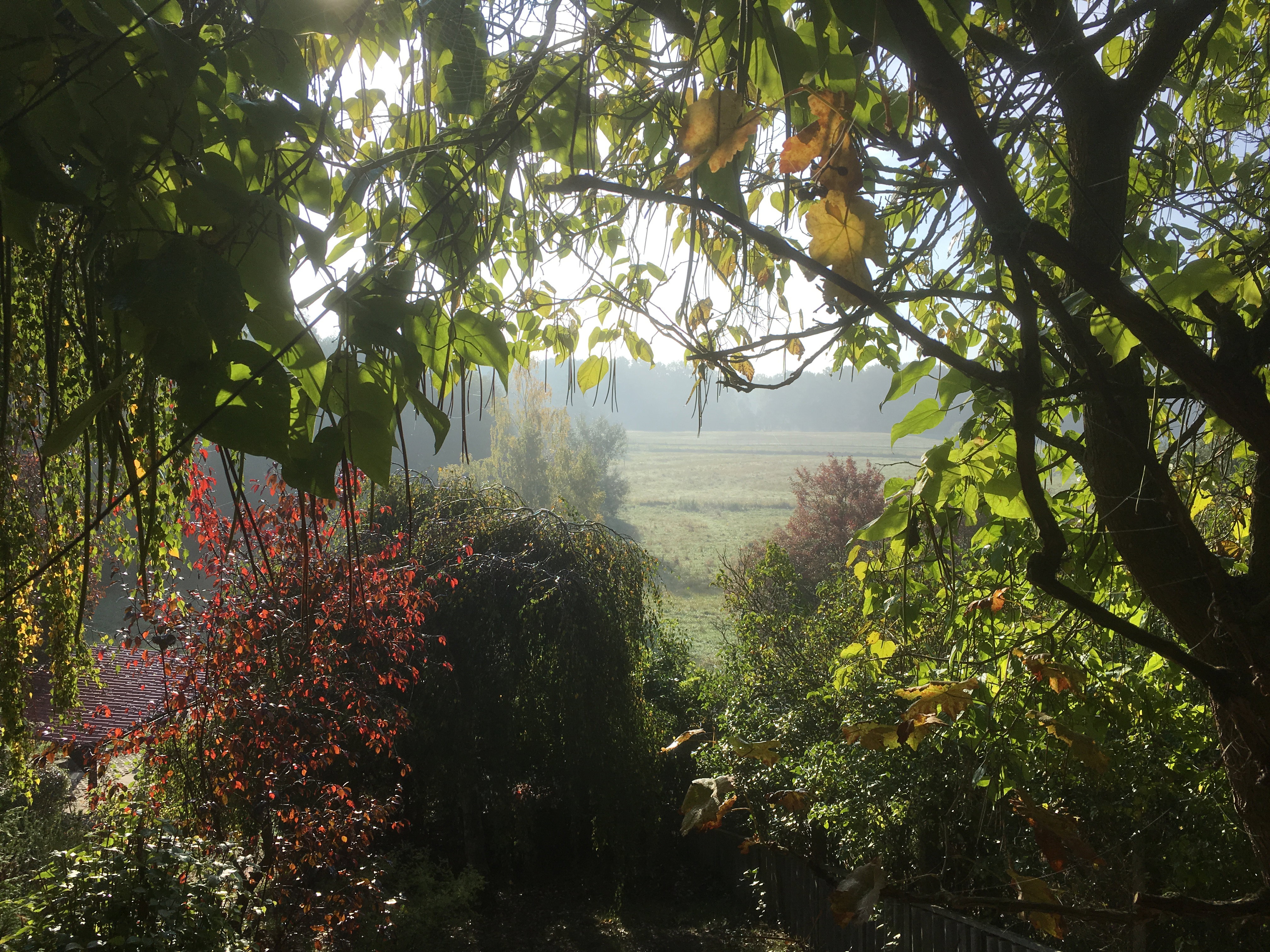 Maison nature à Teupitz